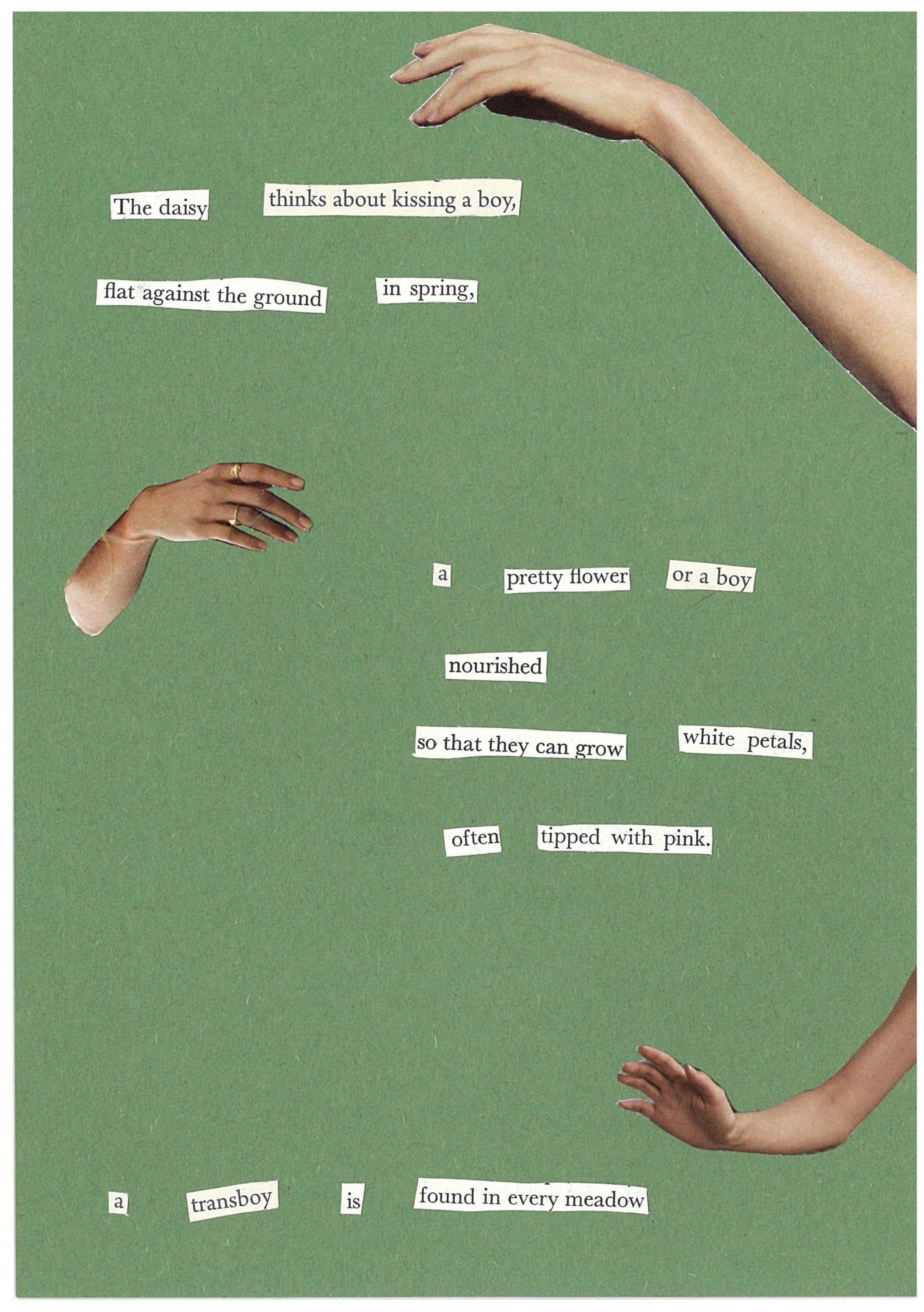 a pretty flower or a boy part ii | a5 print