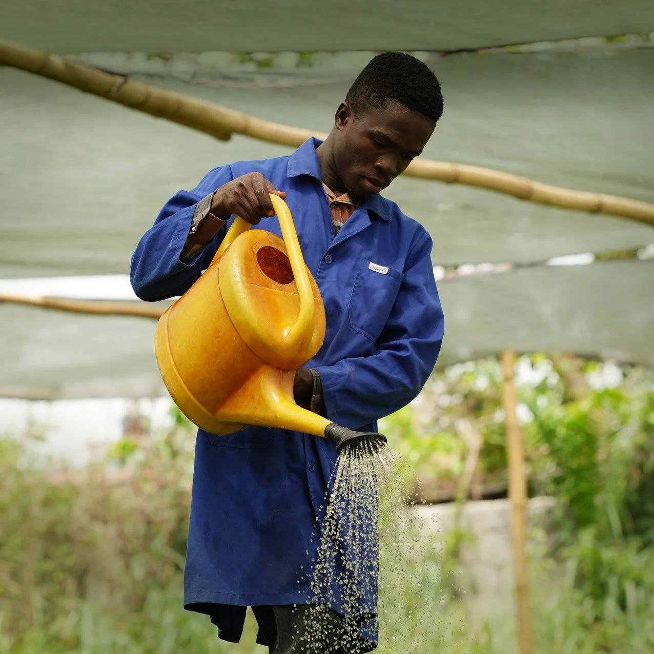 Restoring Natural Resources_3.jpg