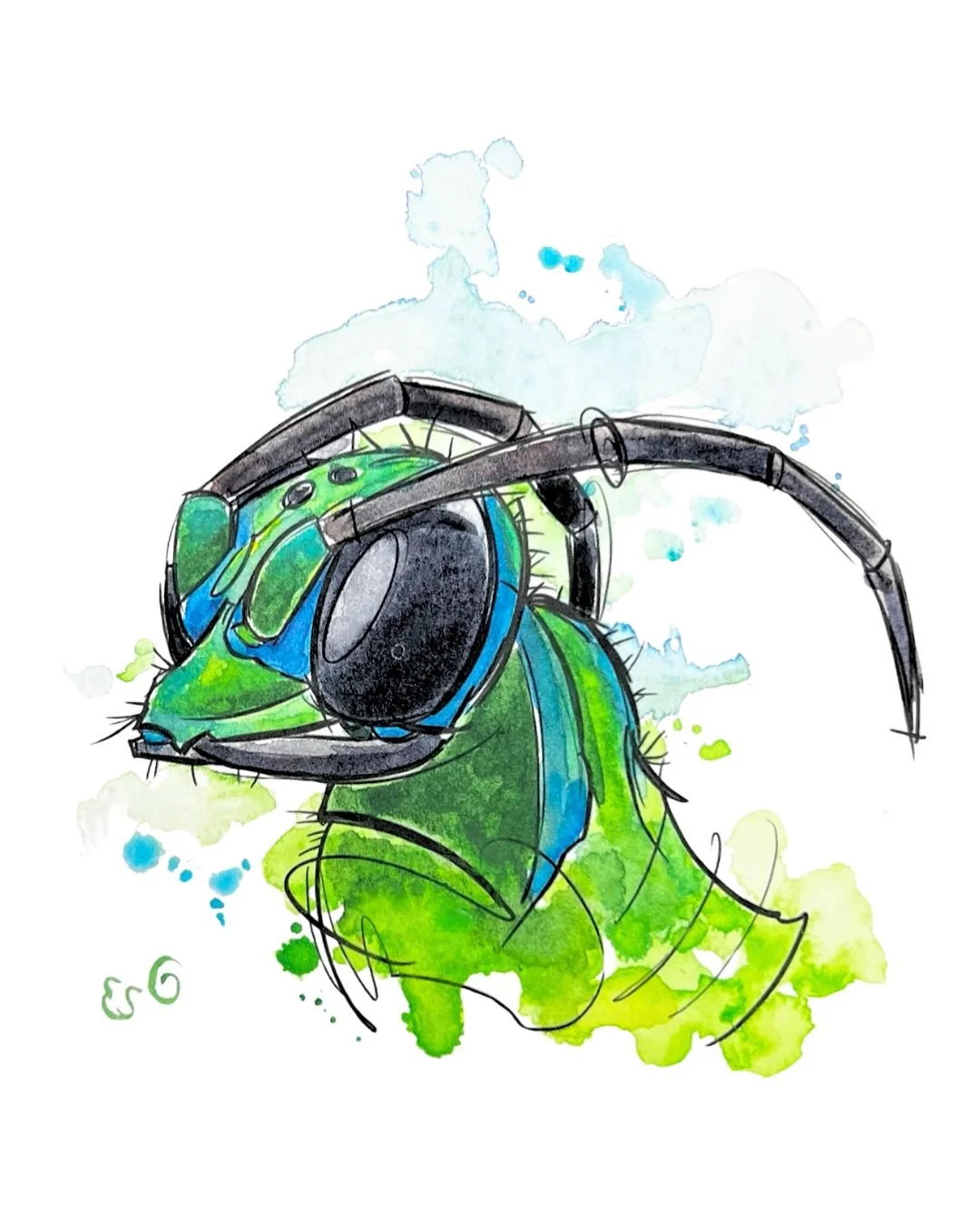 Illustration of a bee wearing large headphones, with watercolor splashes in green and blue around it.