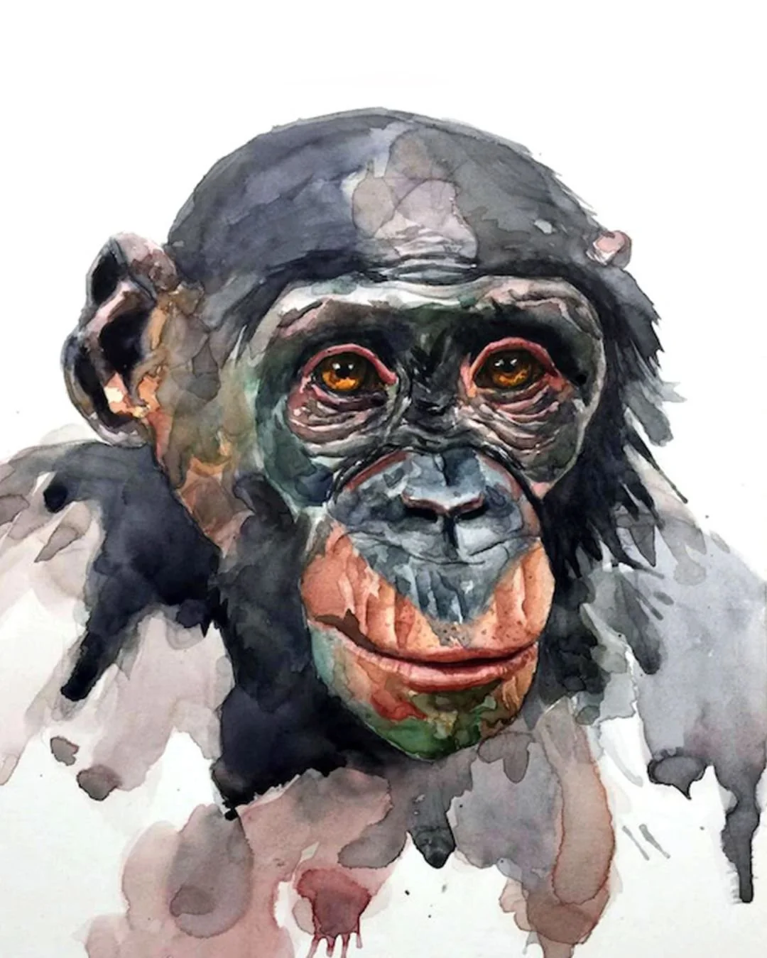 Watercolor painting of a chimpanzee with detailed facial features and expressive eyes.