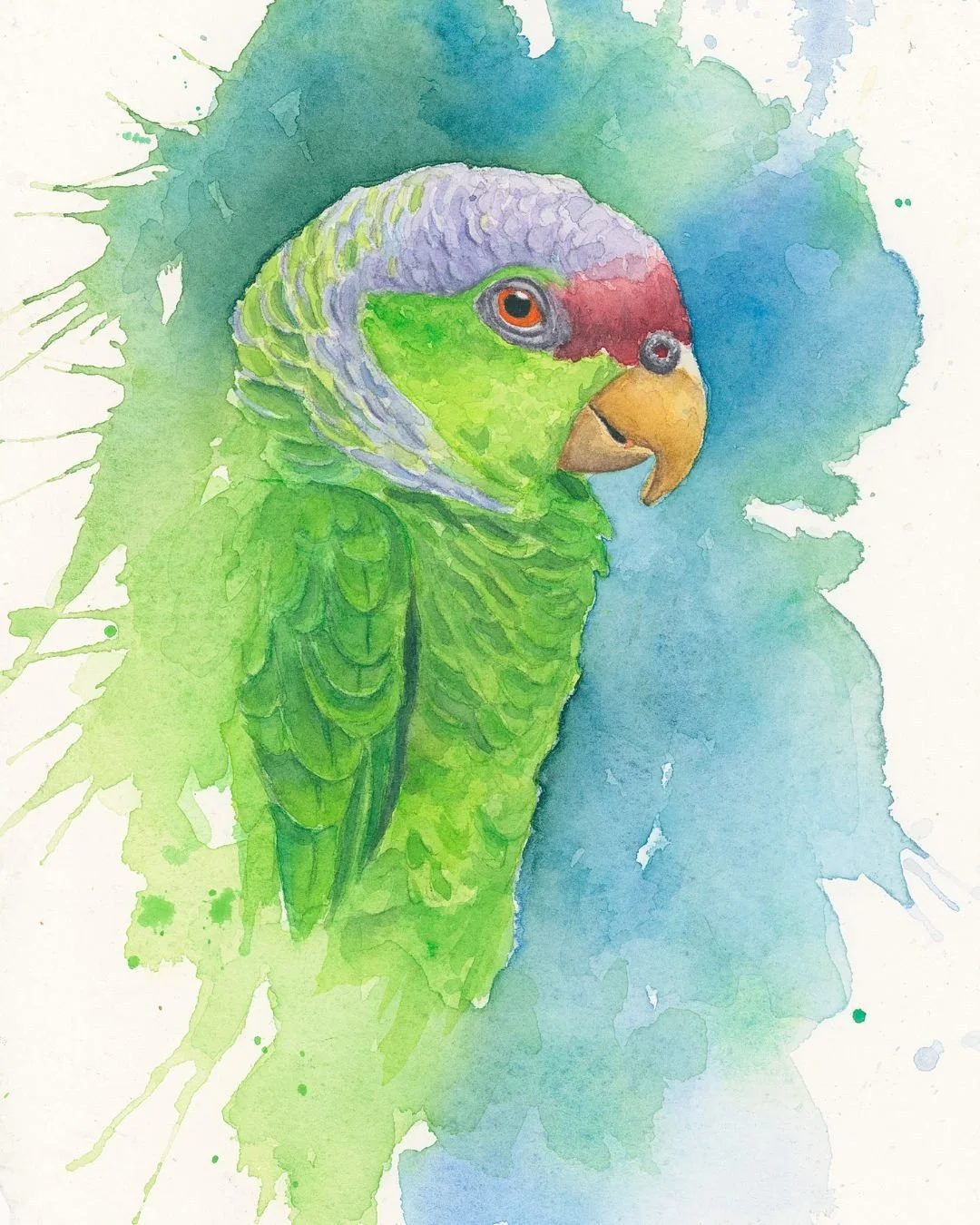 Watercolor painting of a green parrot with a purple and red head and an orange beak, against a blue and green abstract watercolor background.