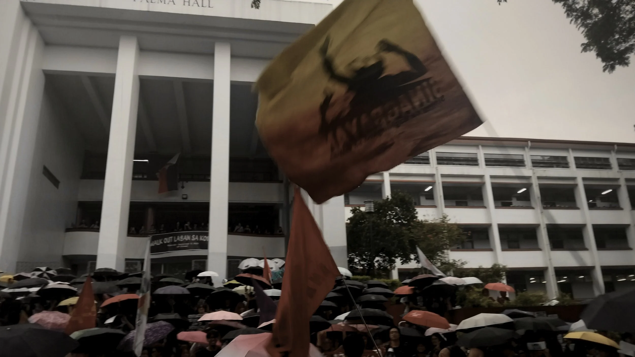 Flags and Umbrellas