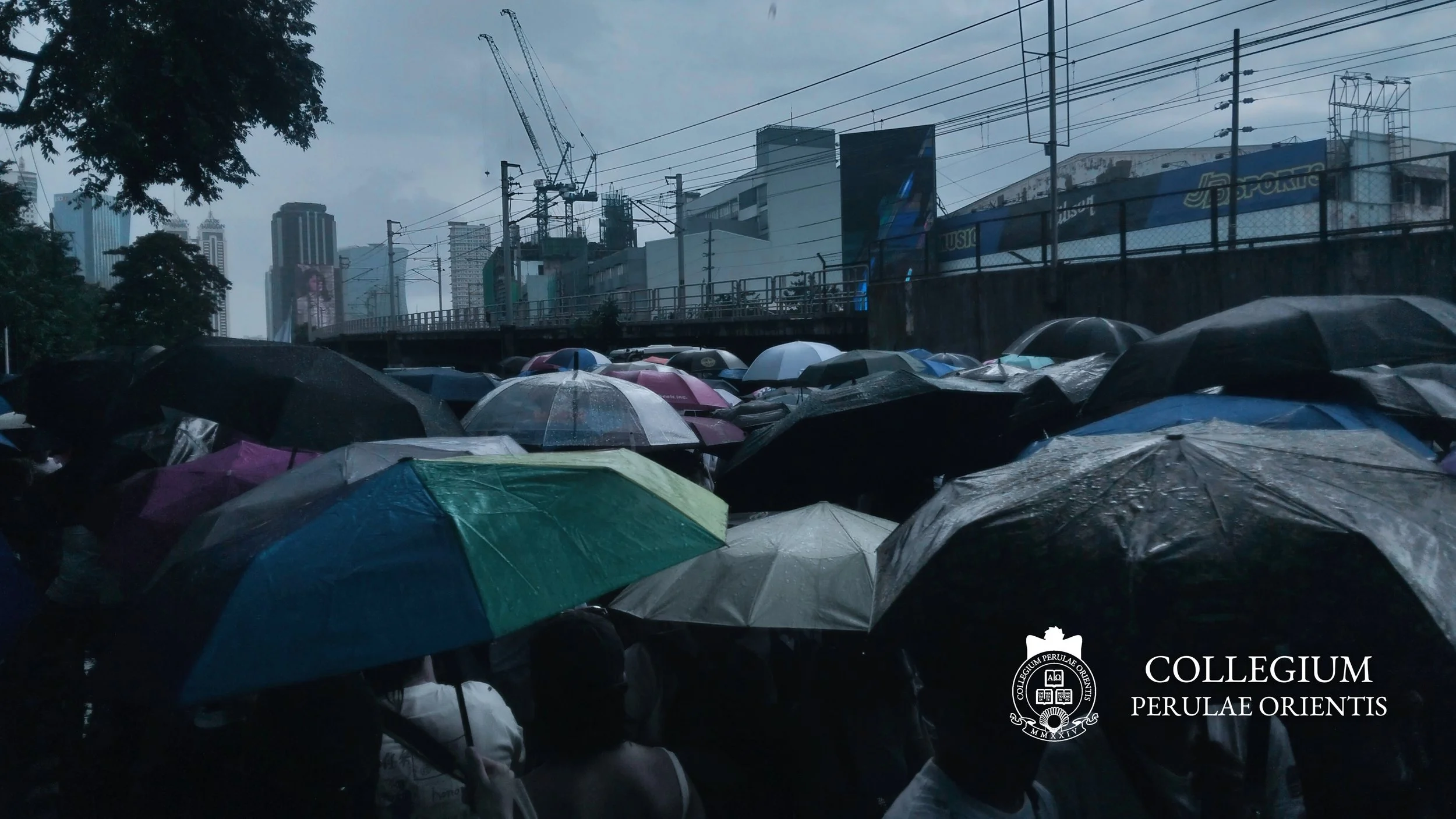 Umbrellas Redux
