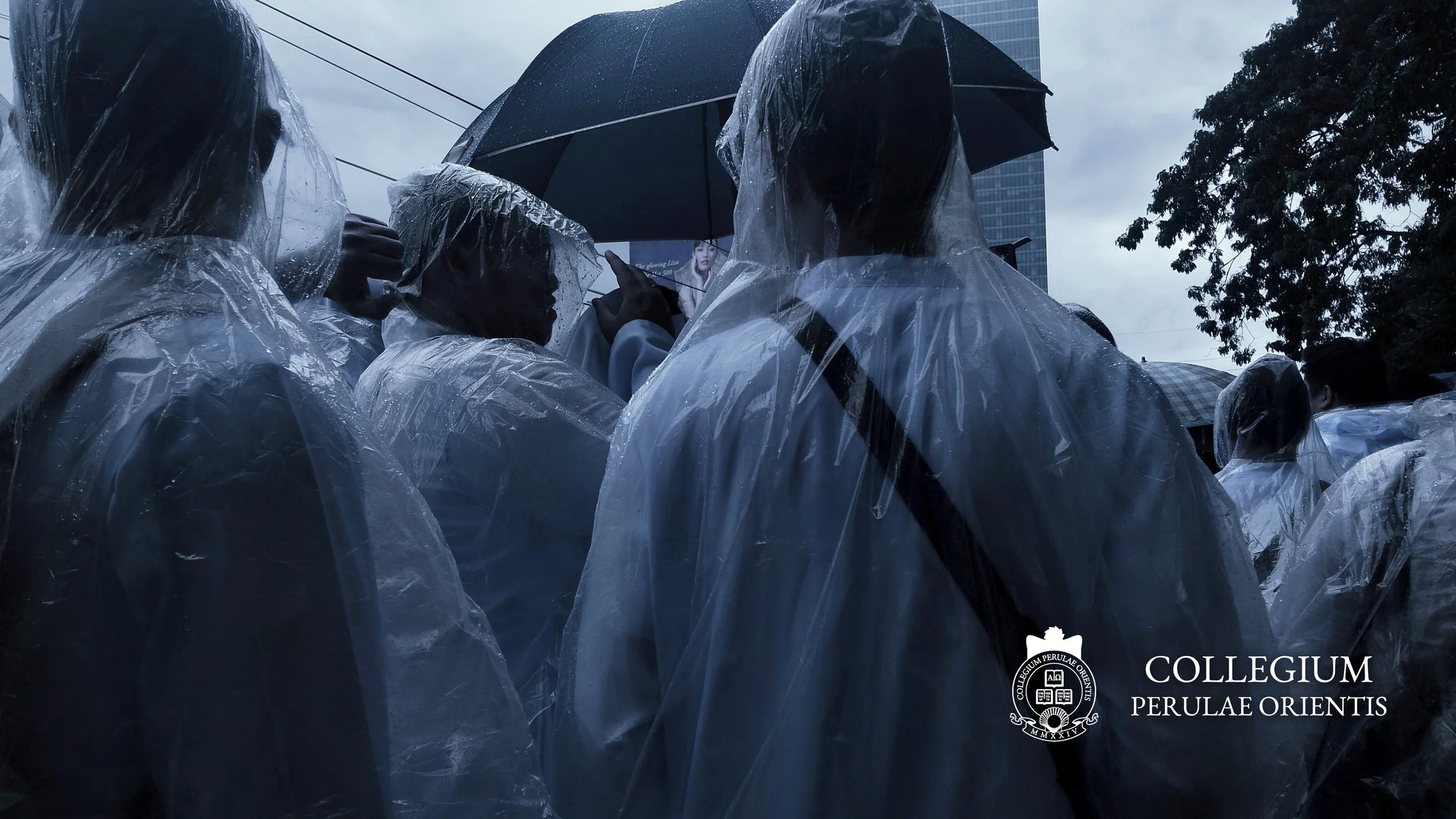 Raincoats