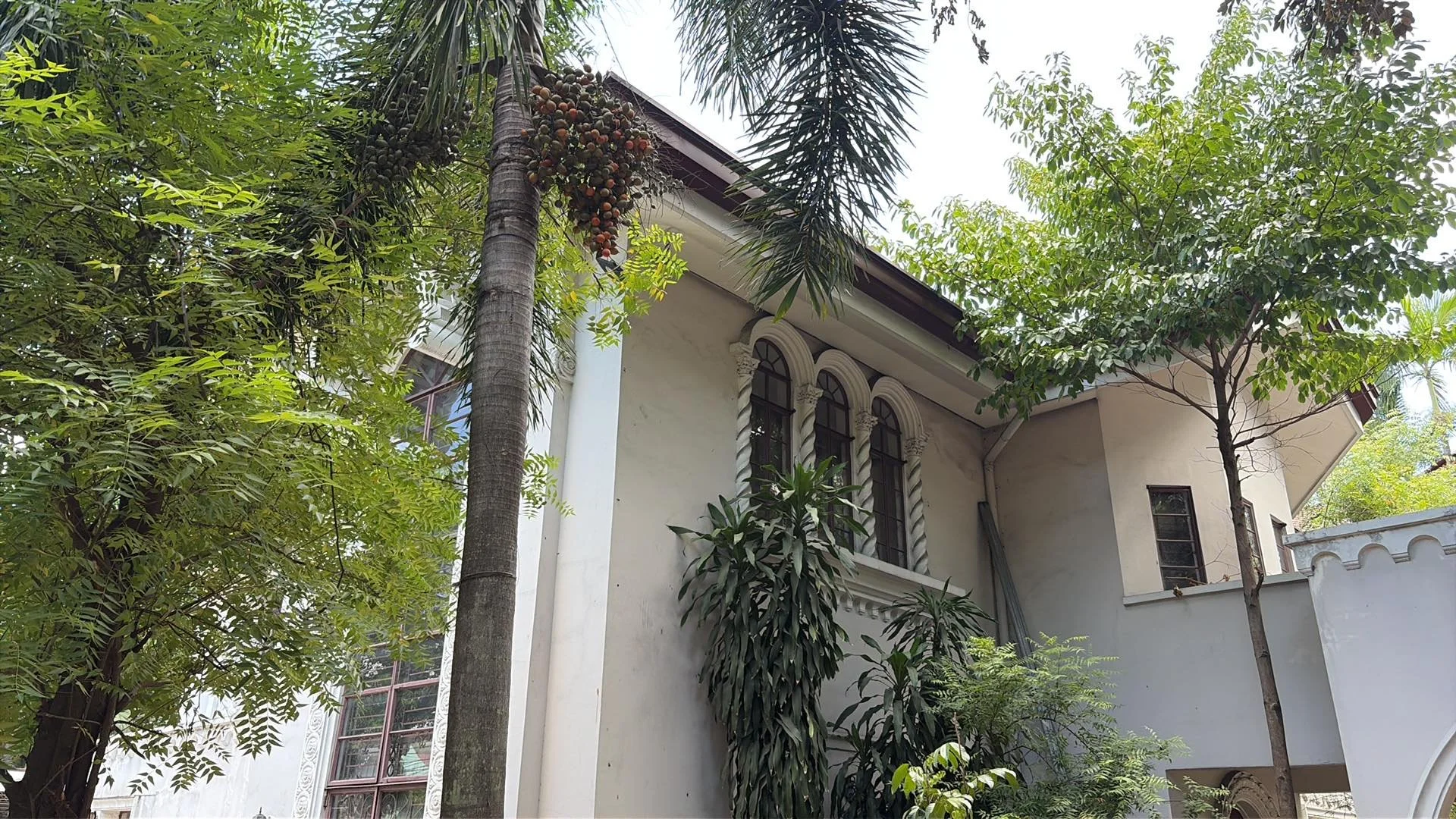 God Saved the Collegium: Perula Orientis at 3