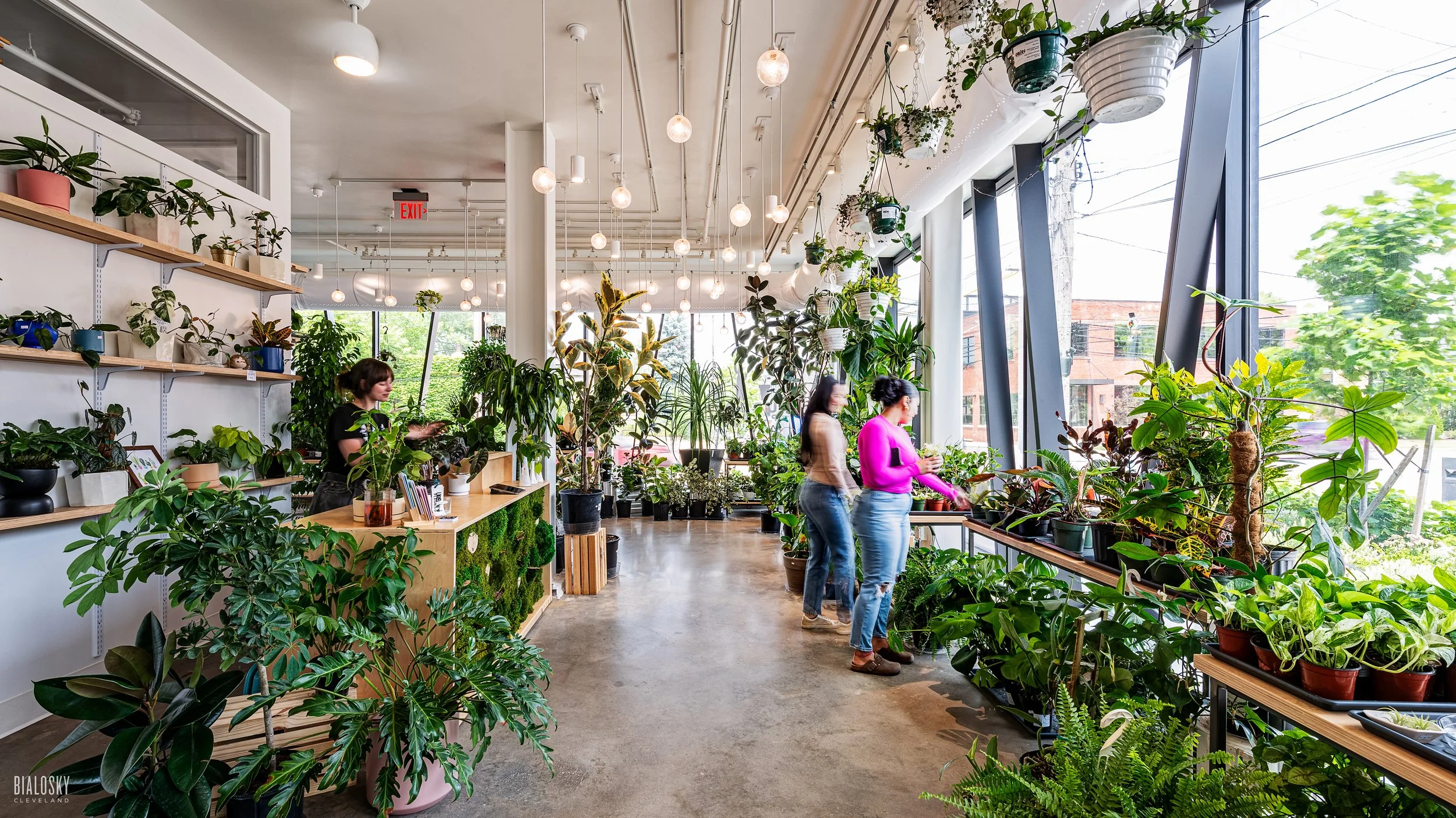Urban Planting 1.jpg