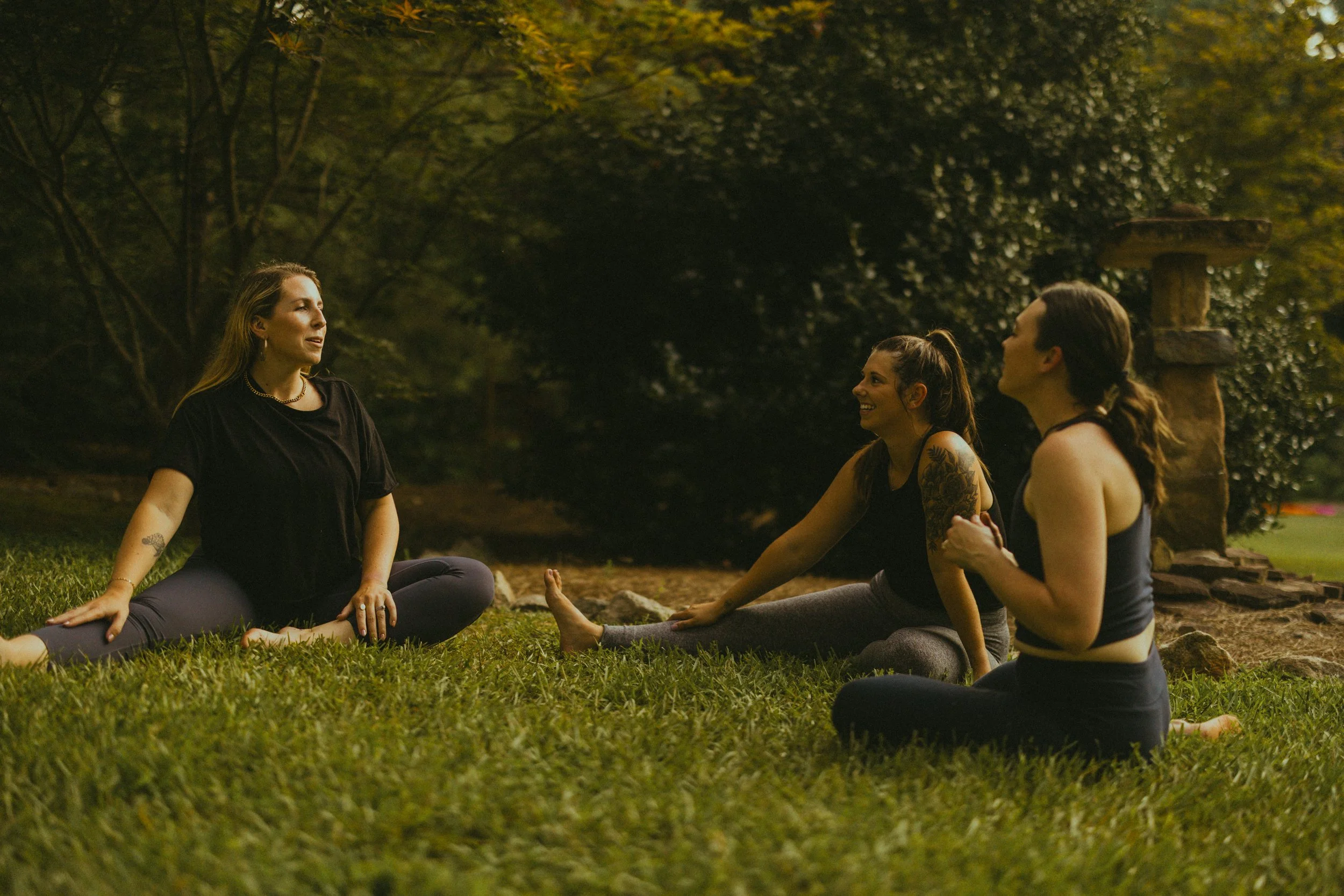 Is There a Guide or Cheat Sheet to Holistic Wellness?