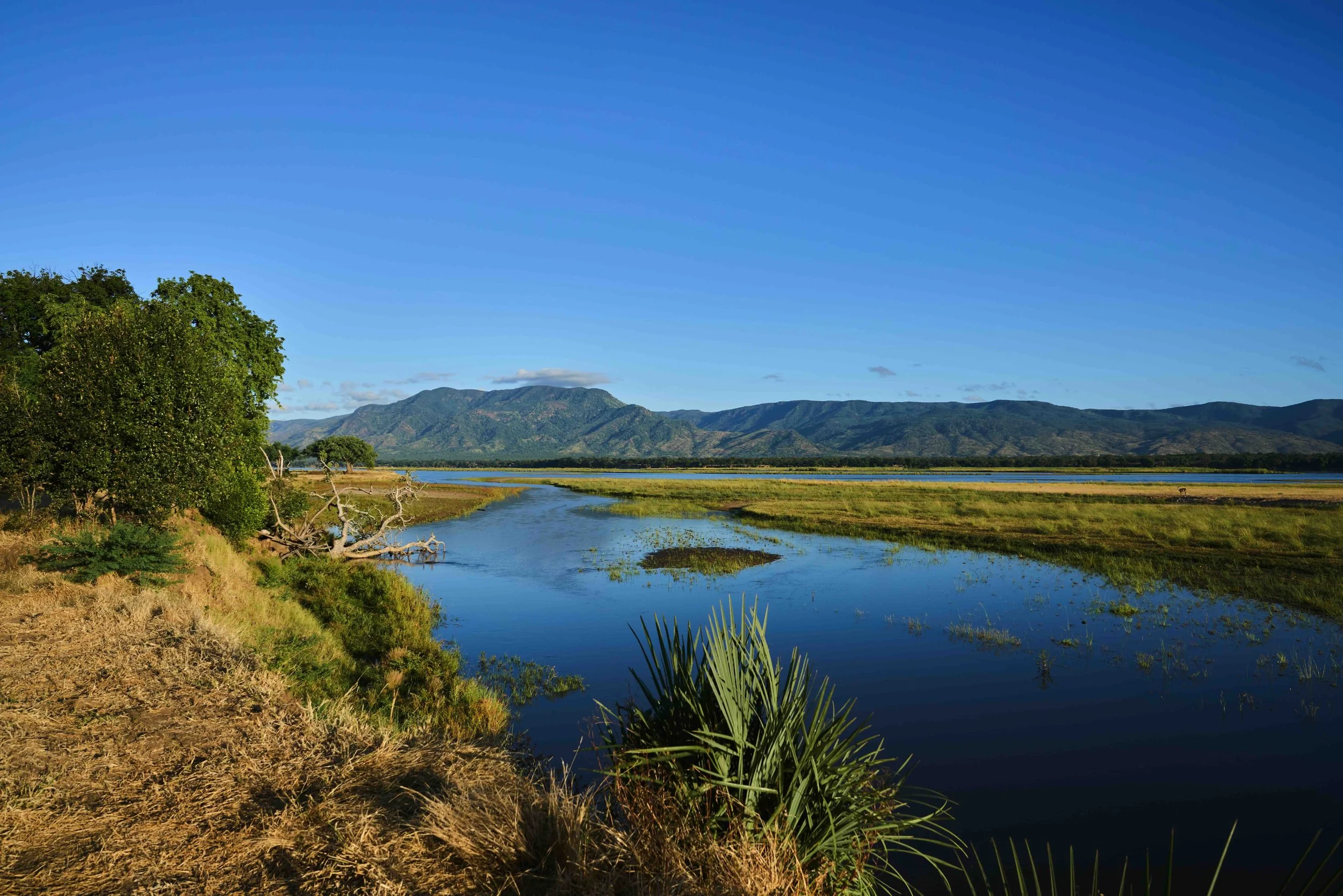 Fluss Landschaft des Lower Zambezi River in Sambia im Lower Zambezi Nationalpark