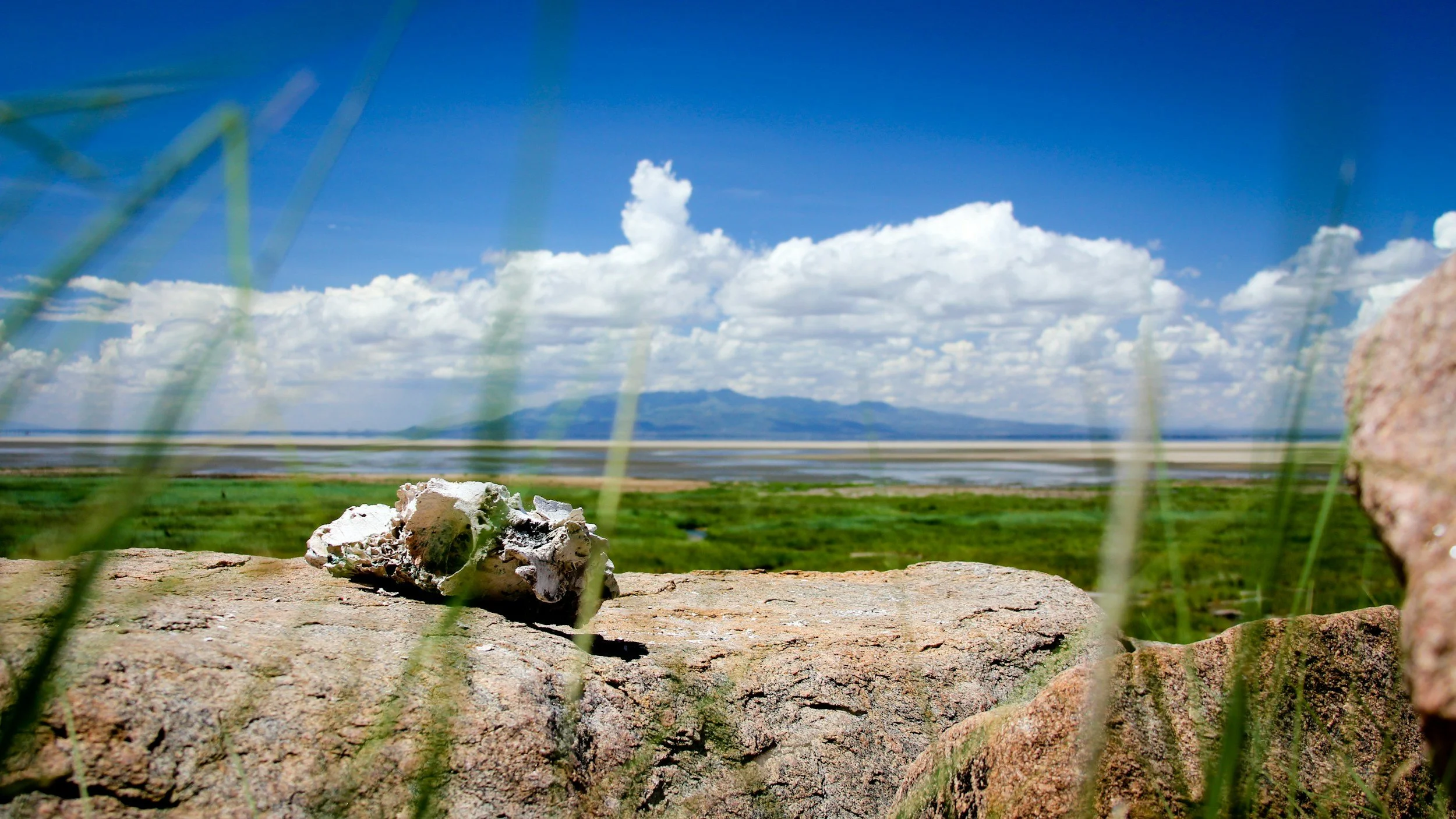 Blick auf den Lake Manyara in Tansania 