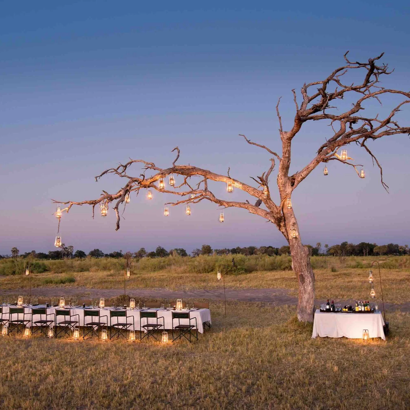 Dinner unter dem Sternenhimmel mit gedeckten Tisch unter einem Baum mit Kerzen in einer Luxus-Safari Lodge in Botswana