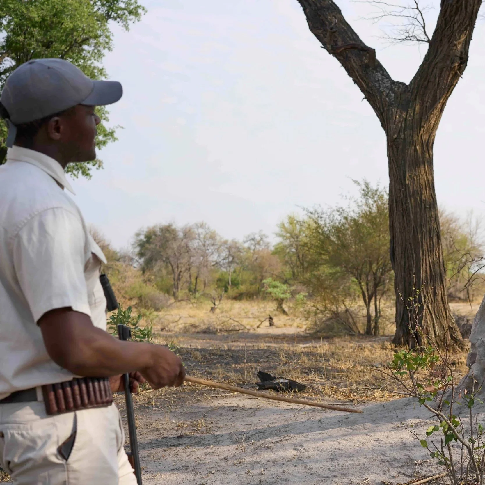 Ranger auf einer Walkin-Safari in Botswana