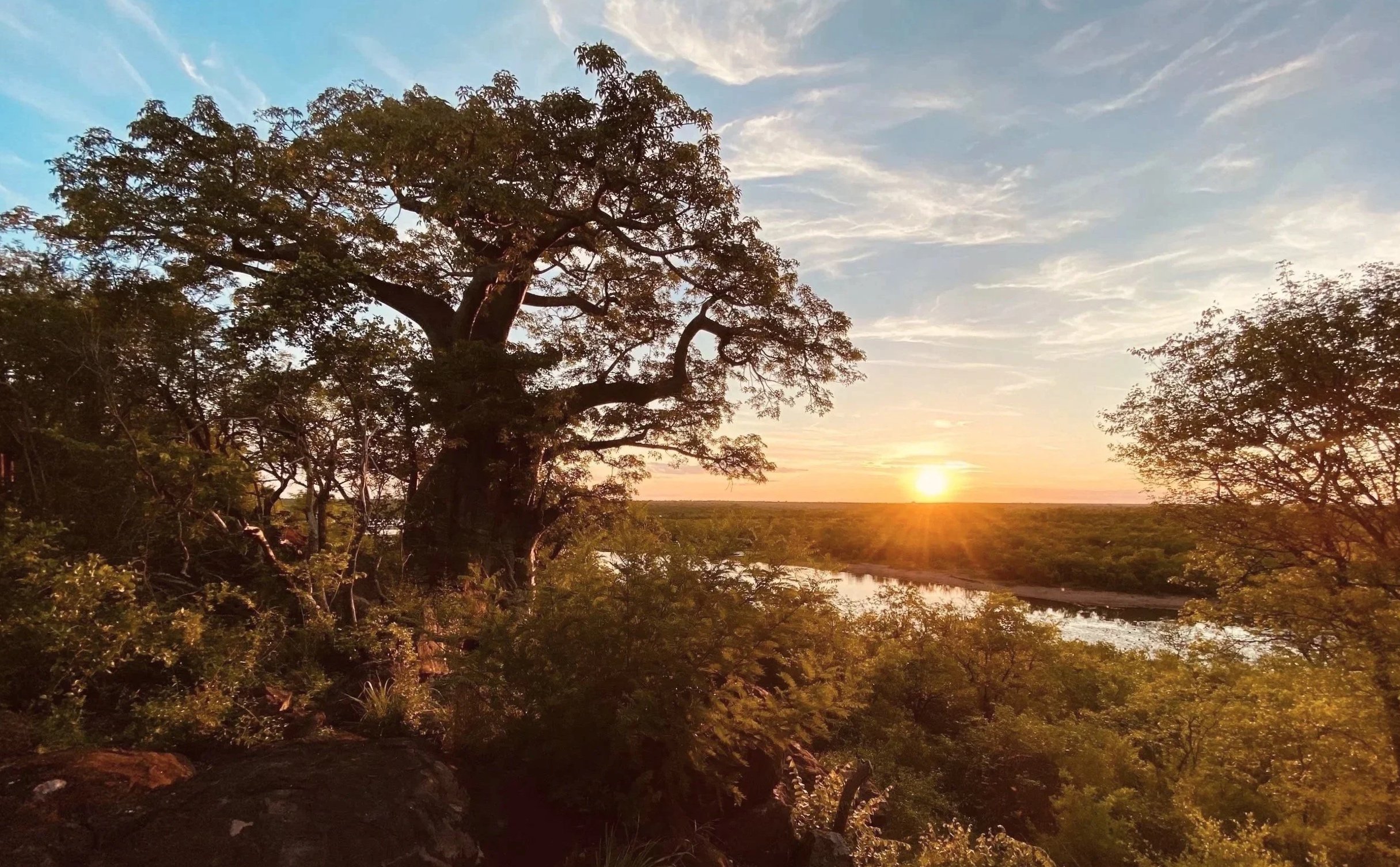 Sonnenuntergang über der Flusslandschaft des Sabie River im Kruger Nationalpark mit Baobab und Himmel