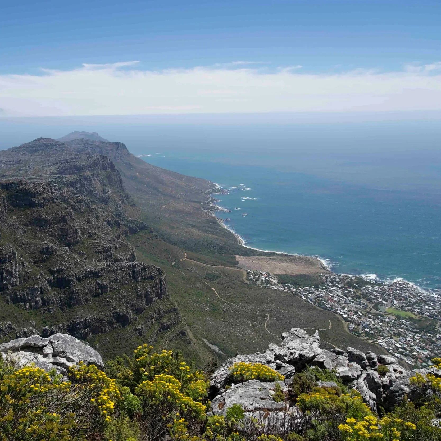 Blick vom Tafelberg auf den Stadtteil Camps Bay von Kapstadt. Im Vordergrund sind gelbe Blumen, im Hintergrund die Ausläufer des Tafelbergs und der Atlantik