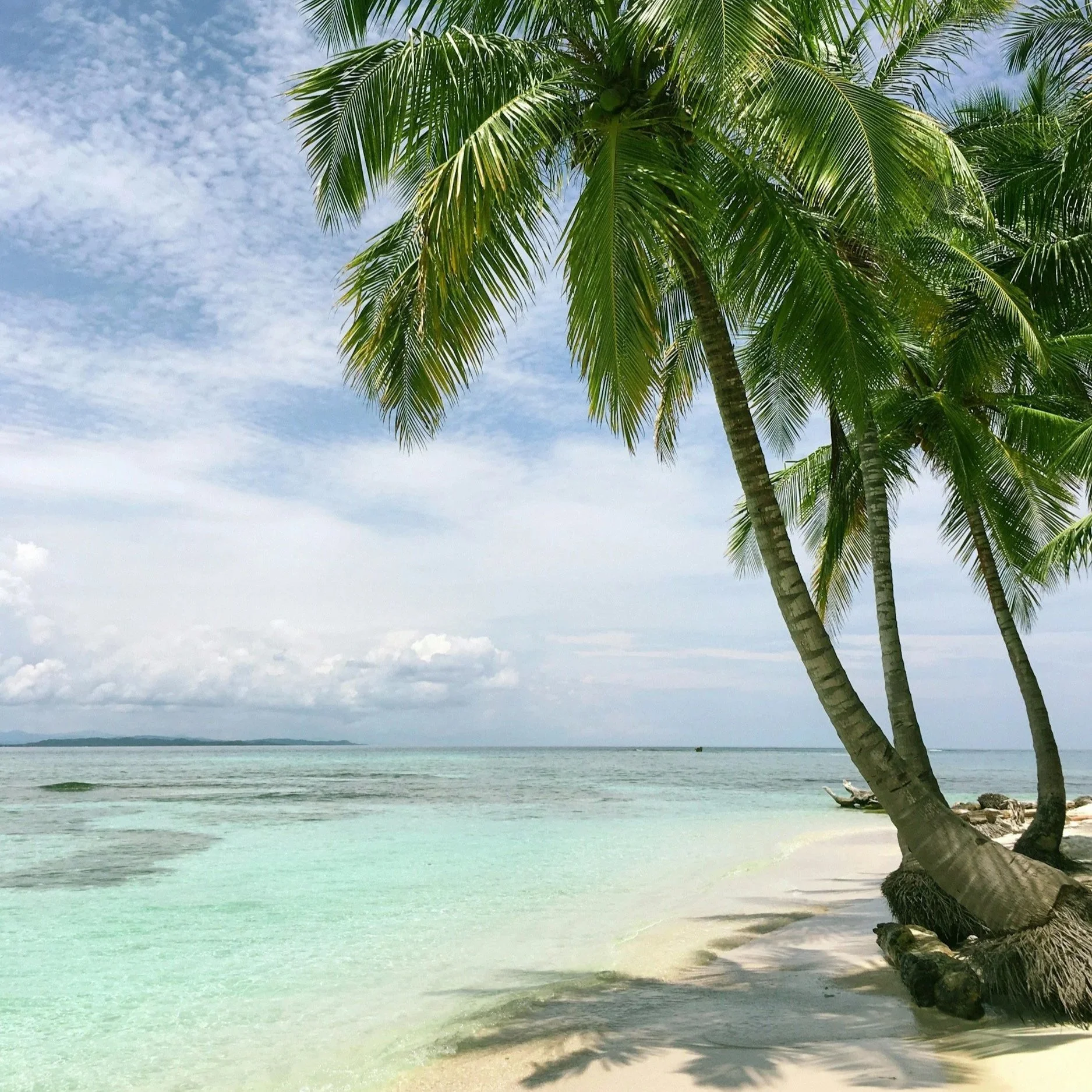 Palmen an einem weißen Sandstrand vor türkisfarbenem Meer am Strand von Watamu in Kenia