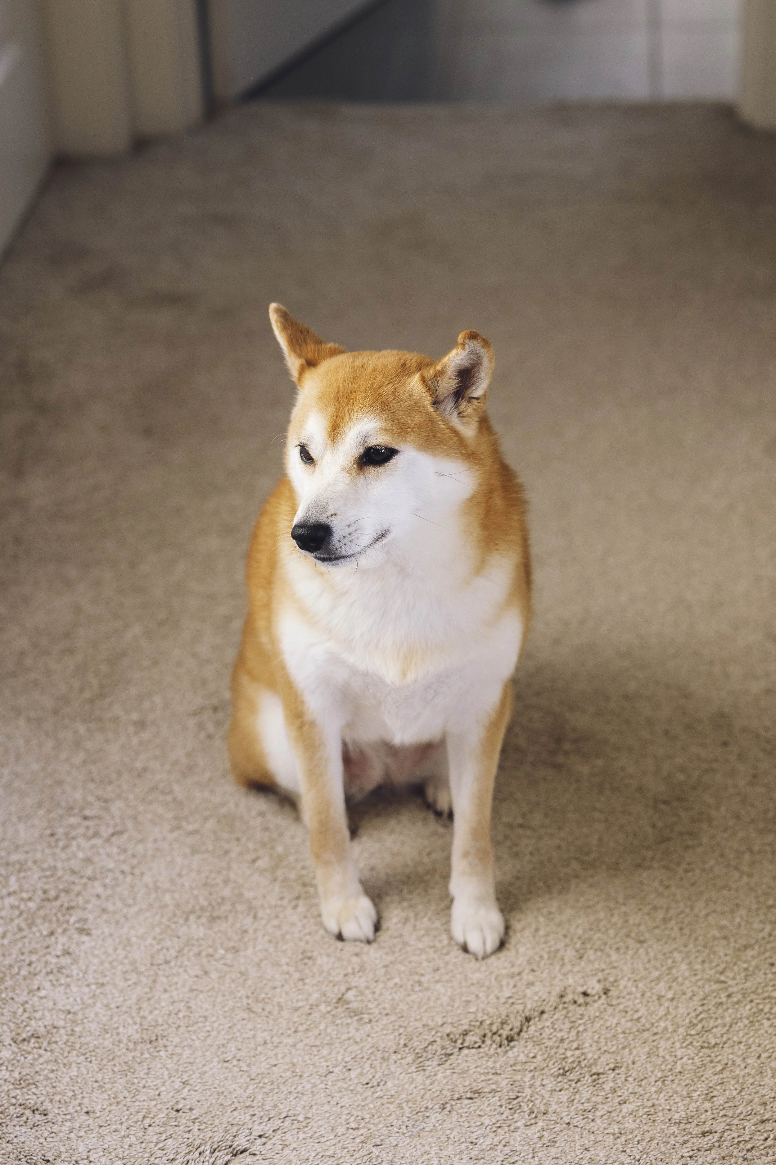 0C7A9649.jpg
