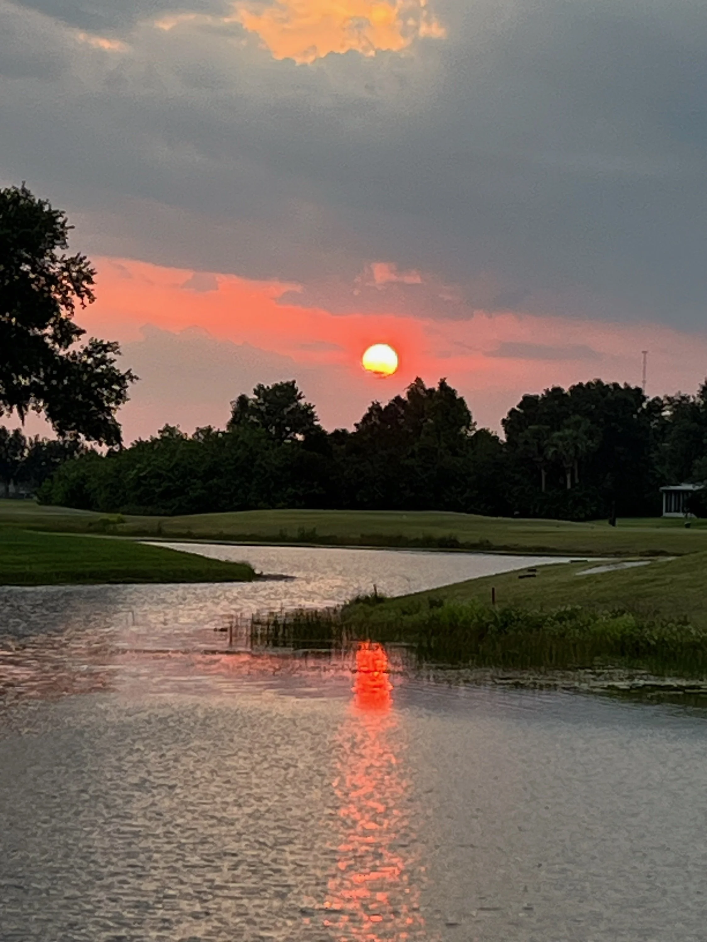 1-My KP backyard at sundown