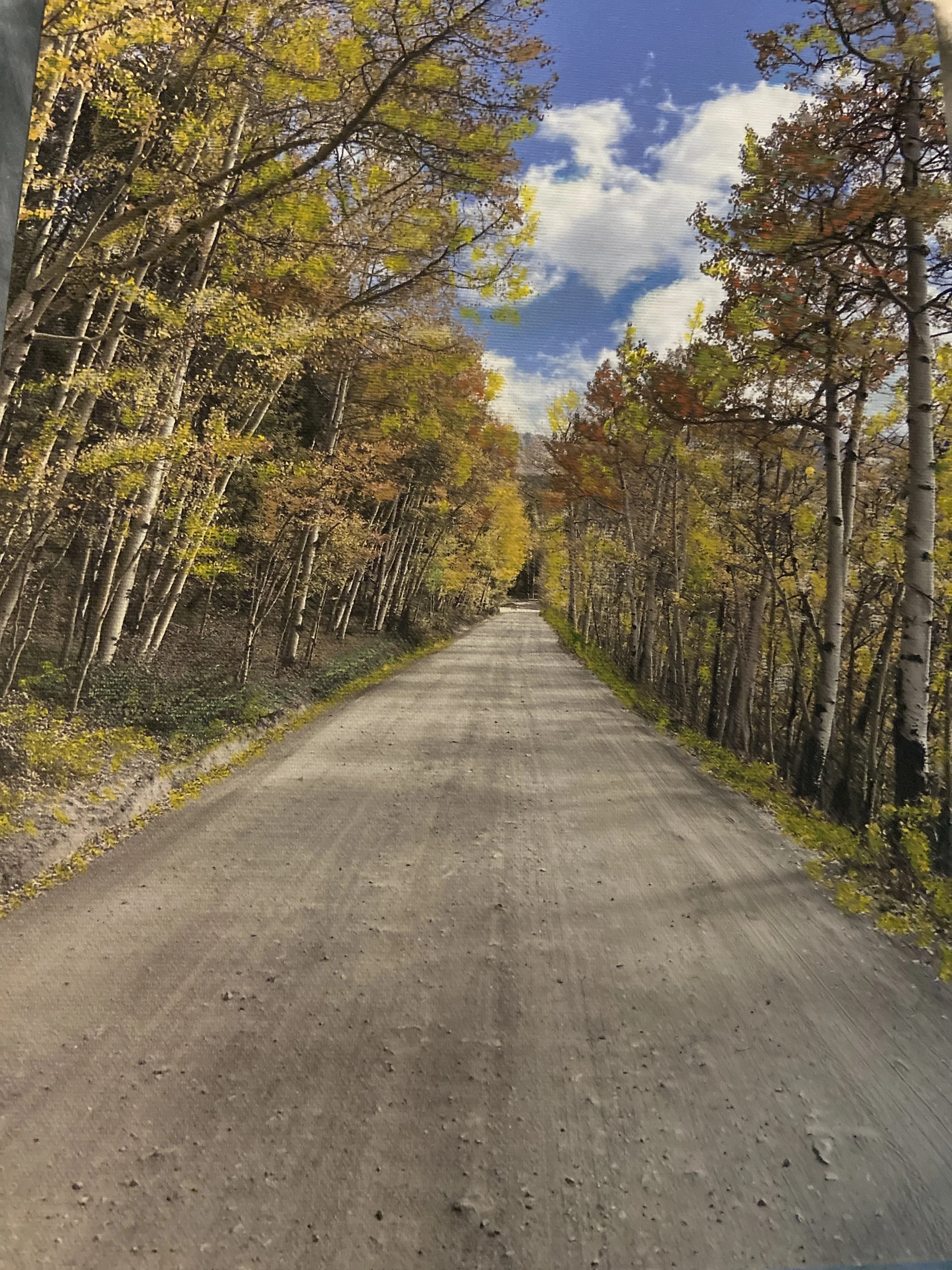 2-Long road to home