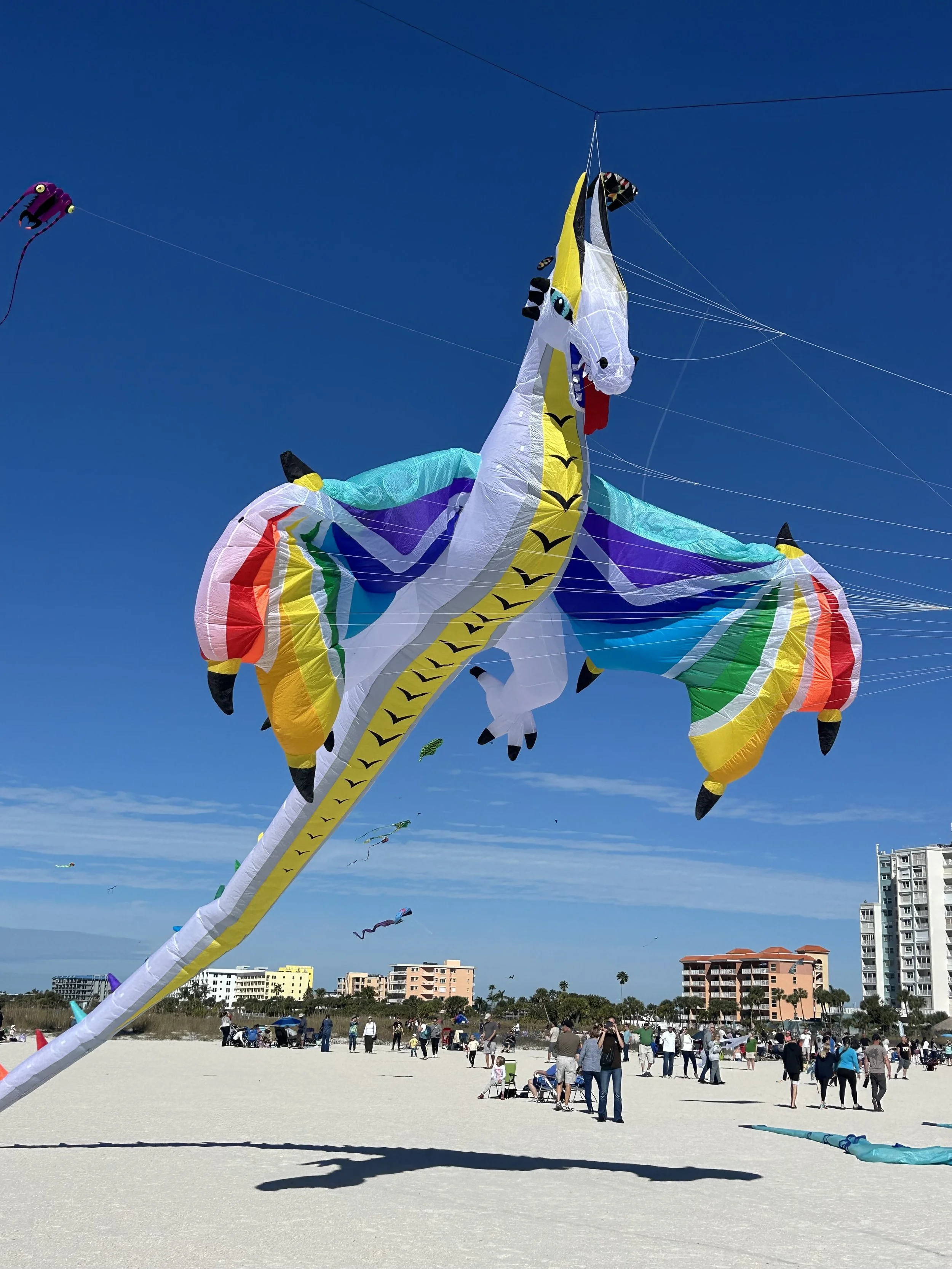 16-Wind+dragon=happiness