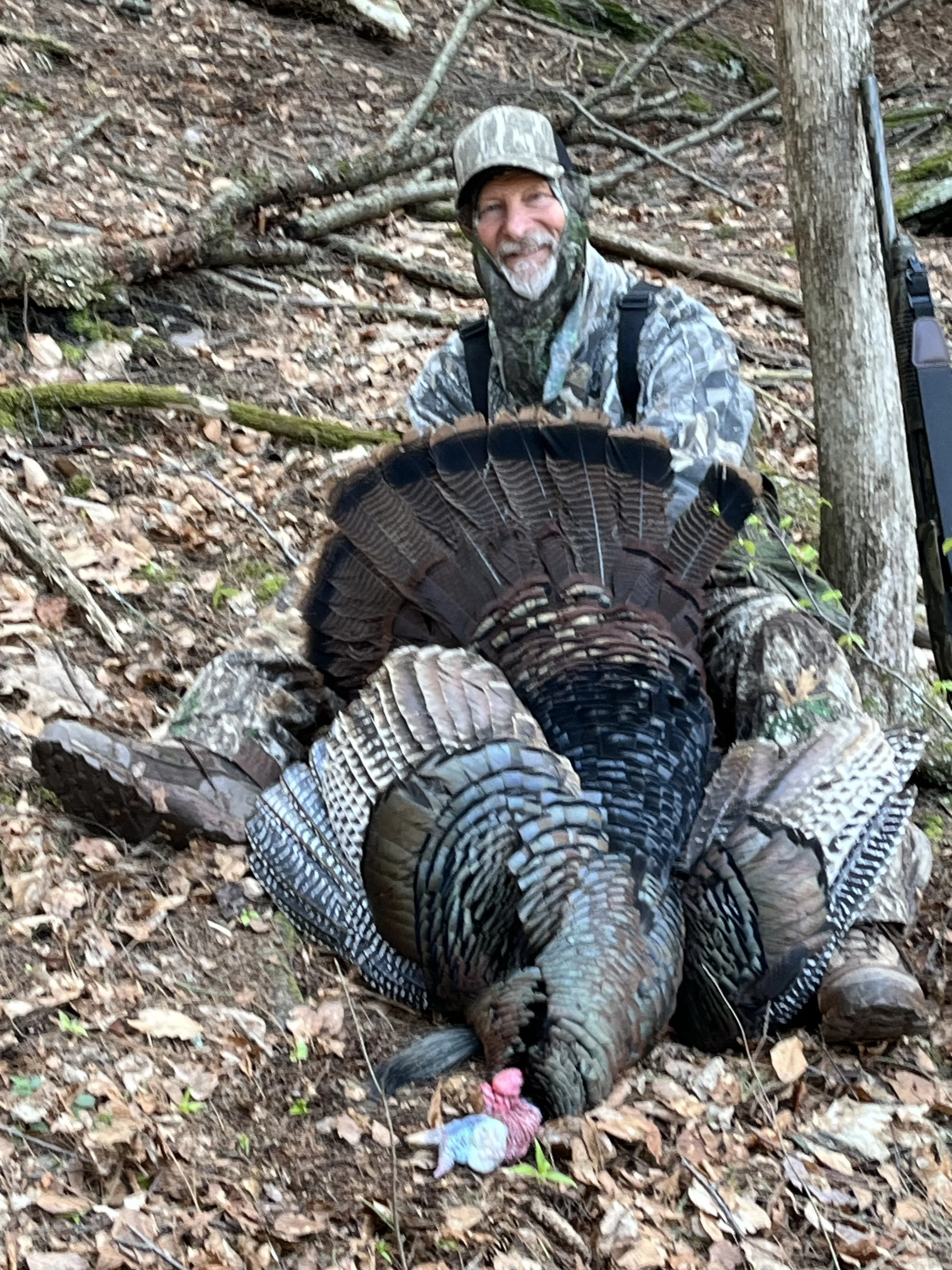 6-Gobble Gobble no more