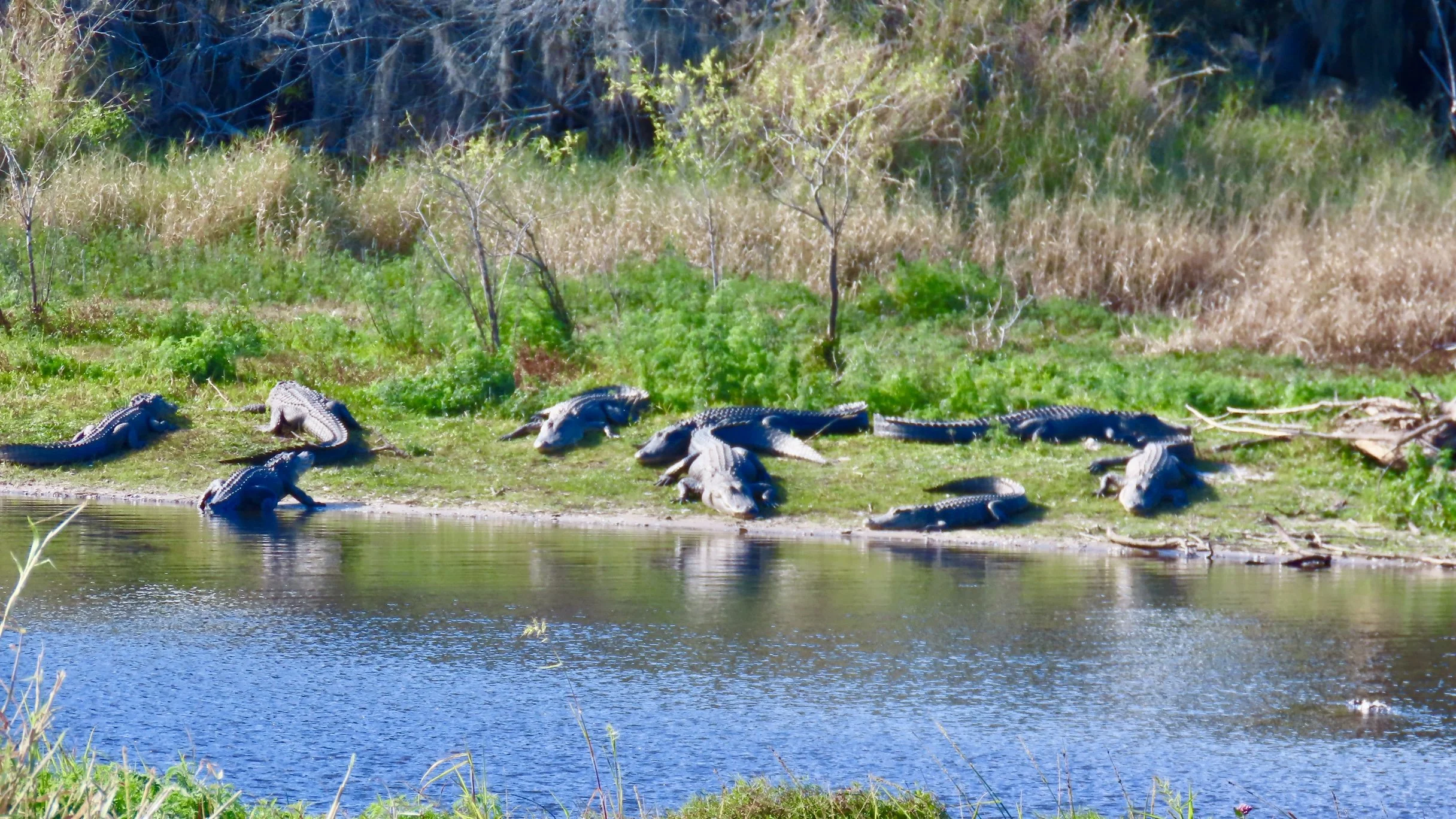 22-Meeting of the Board