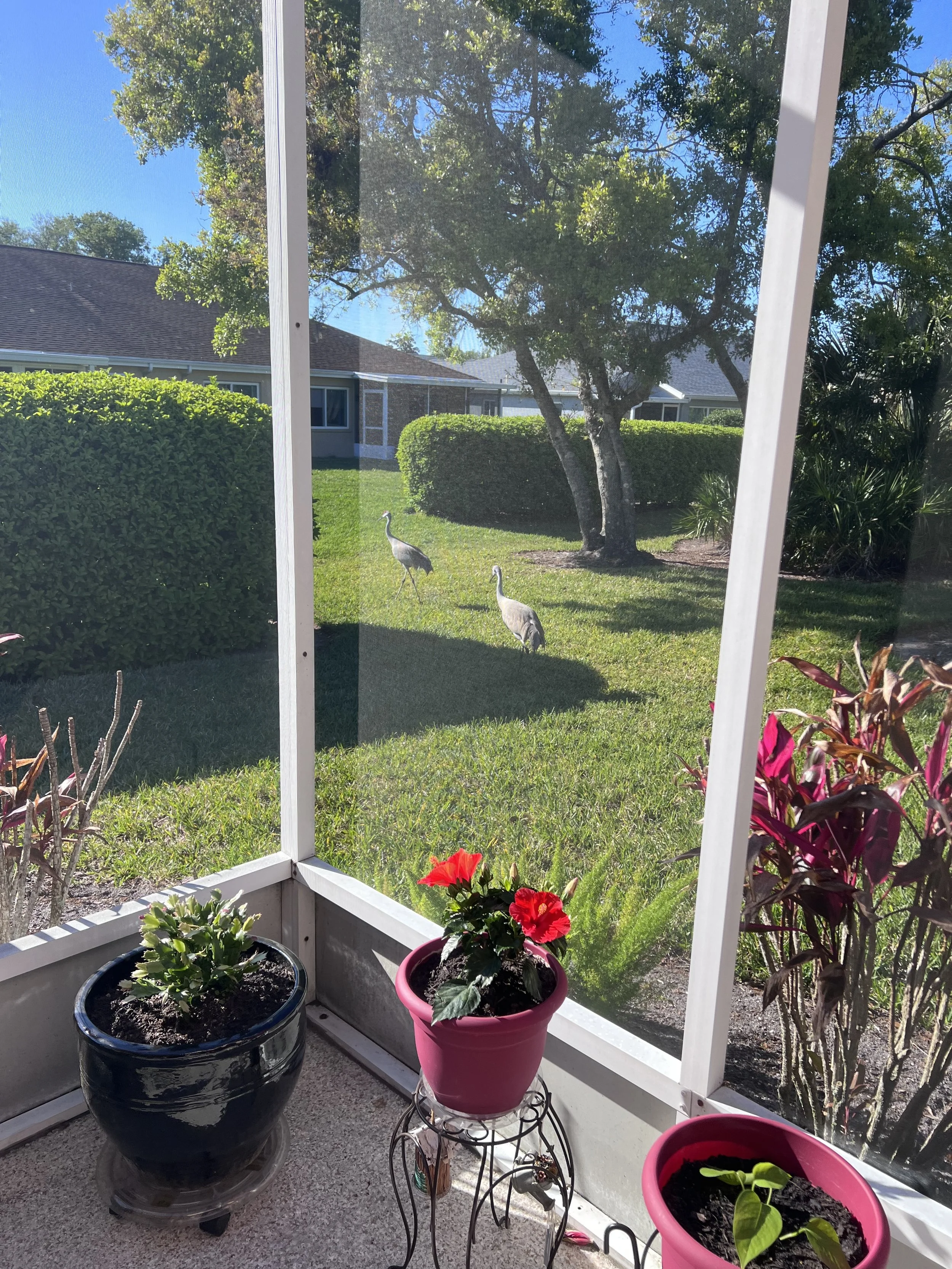 27-Just strolling around