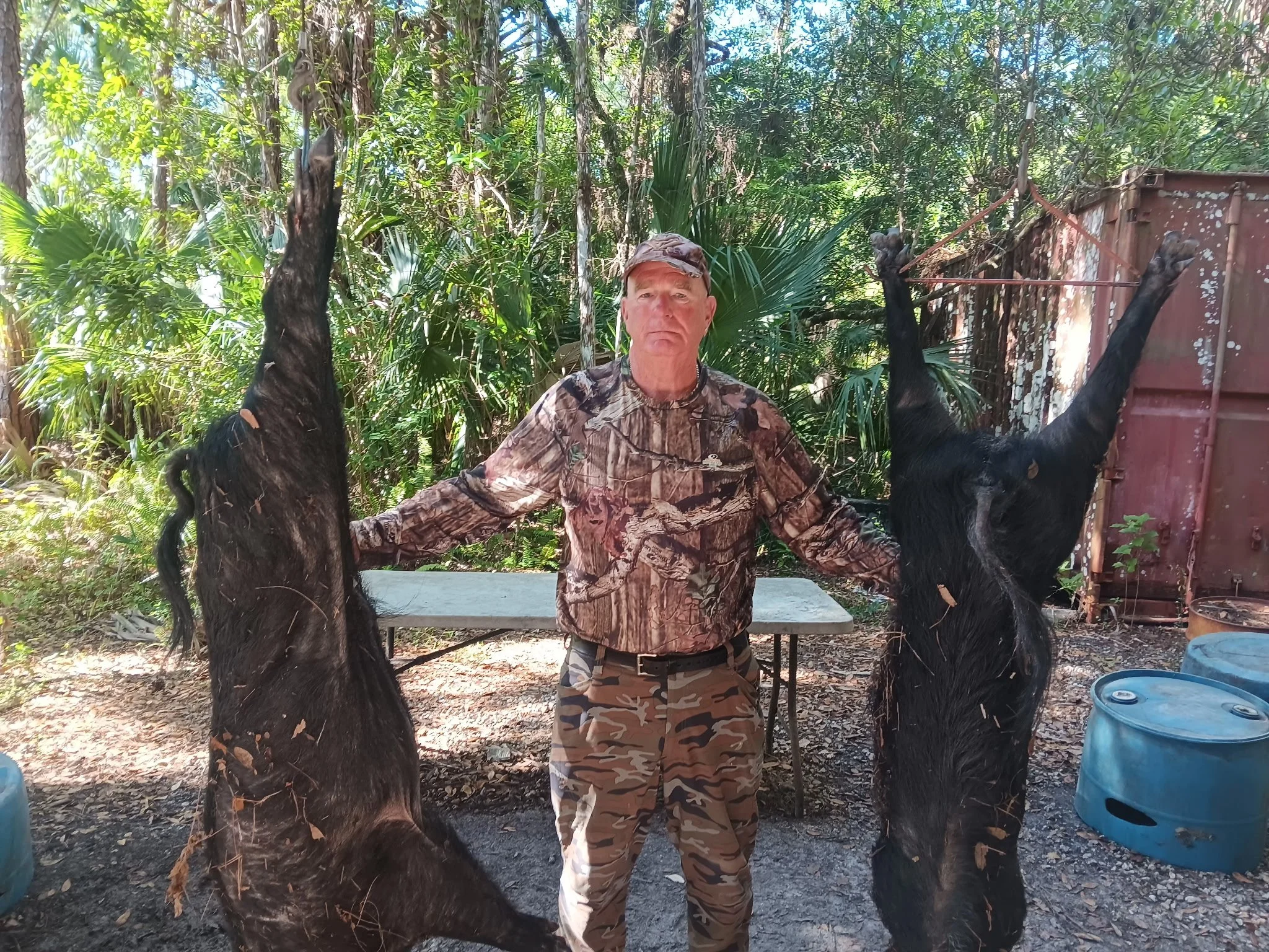 A man wearing camouflage clothing holding two large black wild boar carcasses, one in each hand, outdoors in a wooded area.