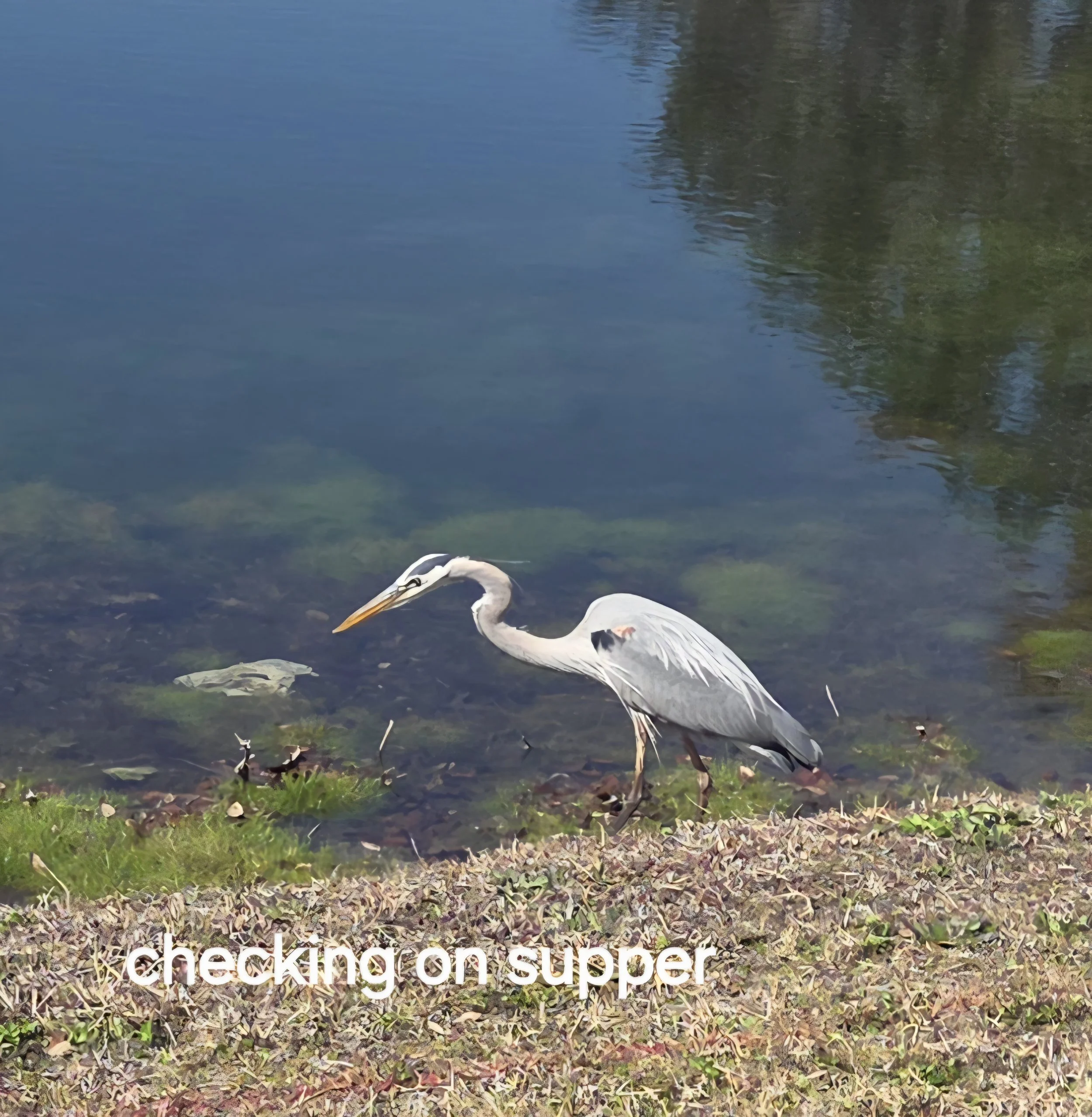 25-Checking on supper