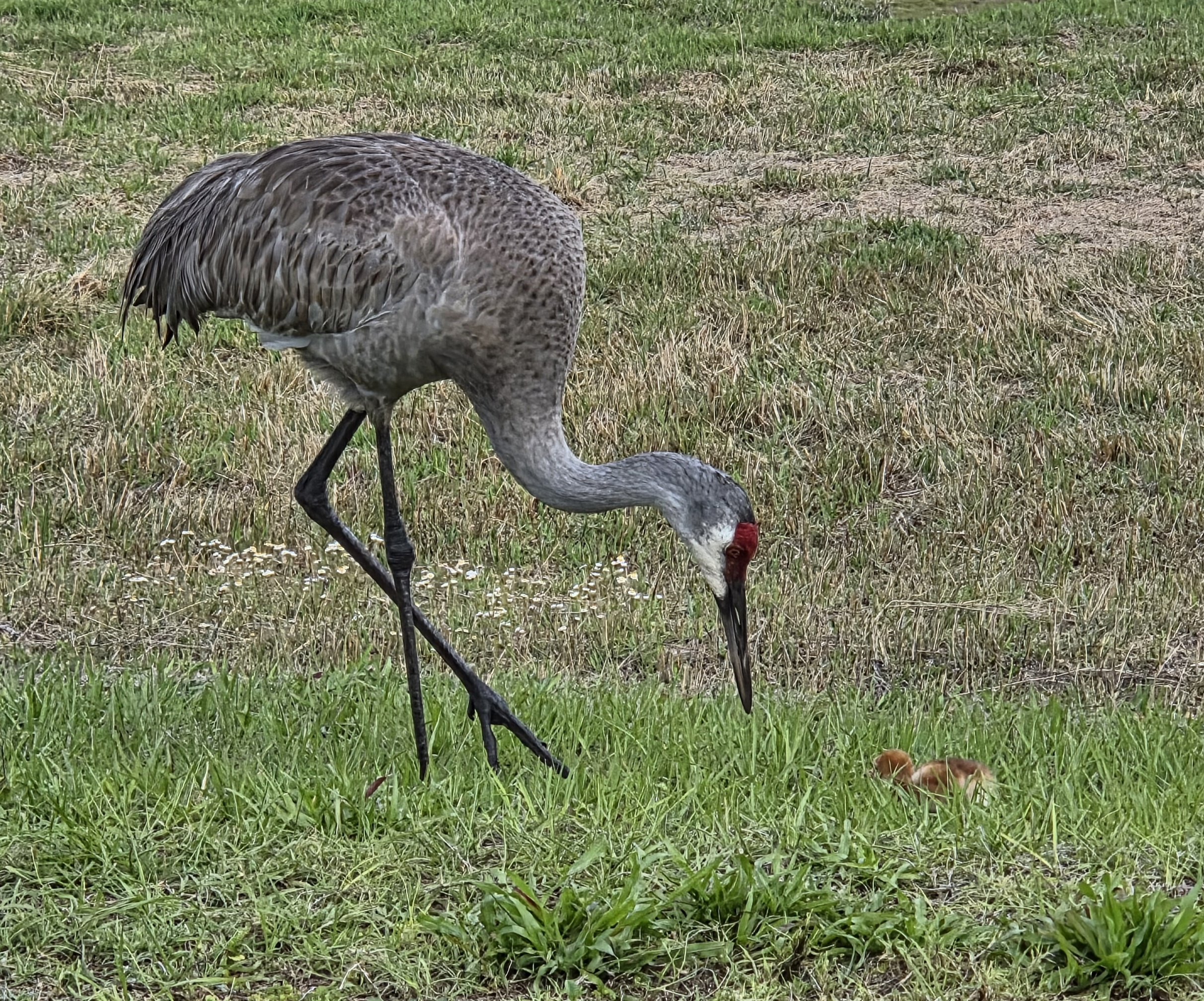 11-First Walk