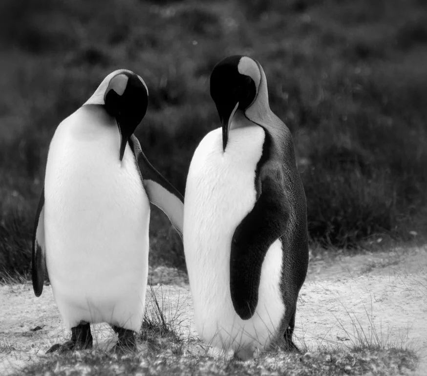 10-A loving couple