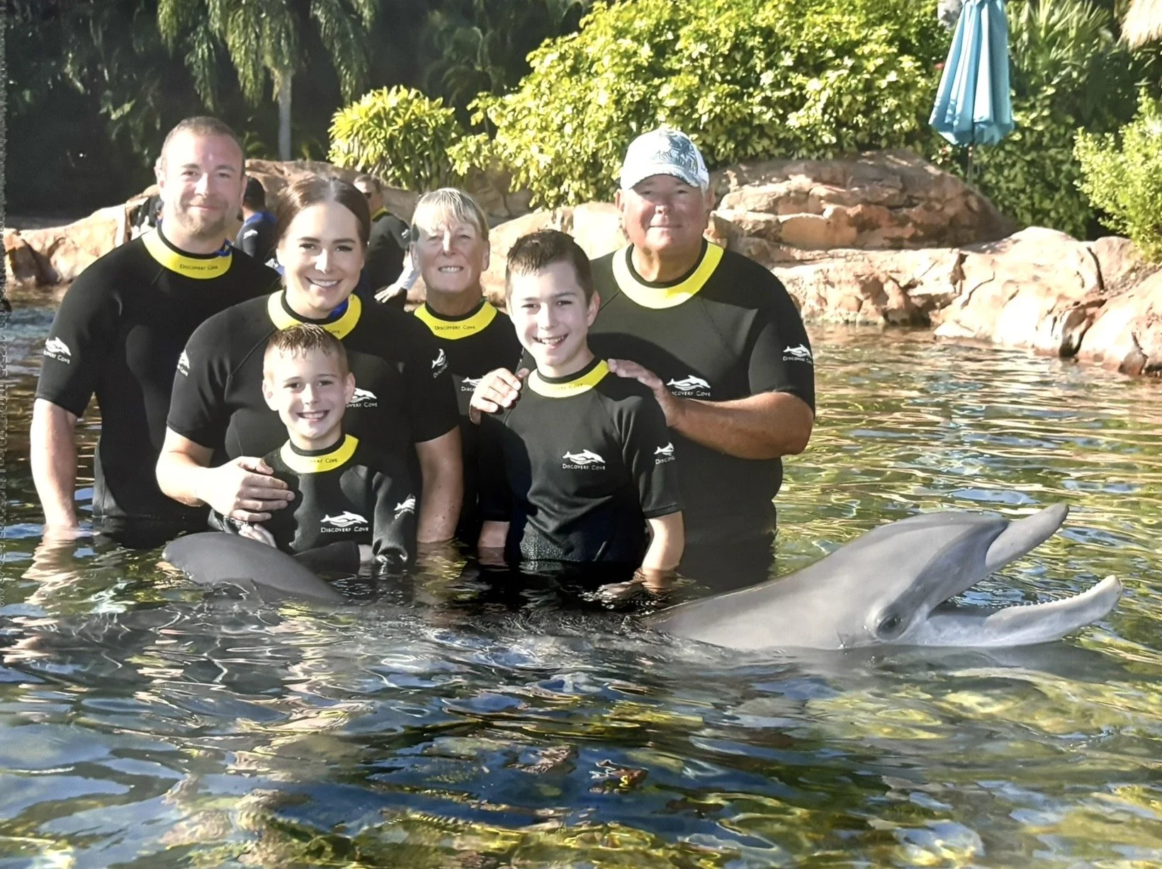 6-Swimming with Dolphins