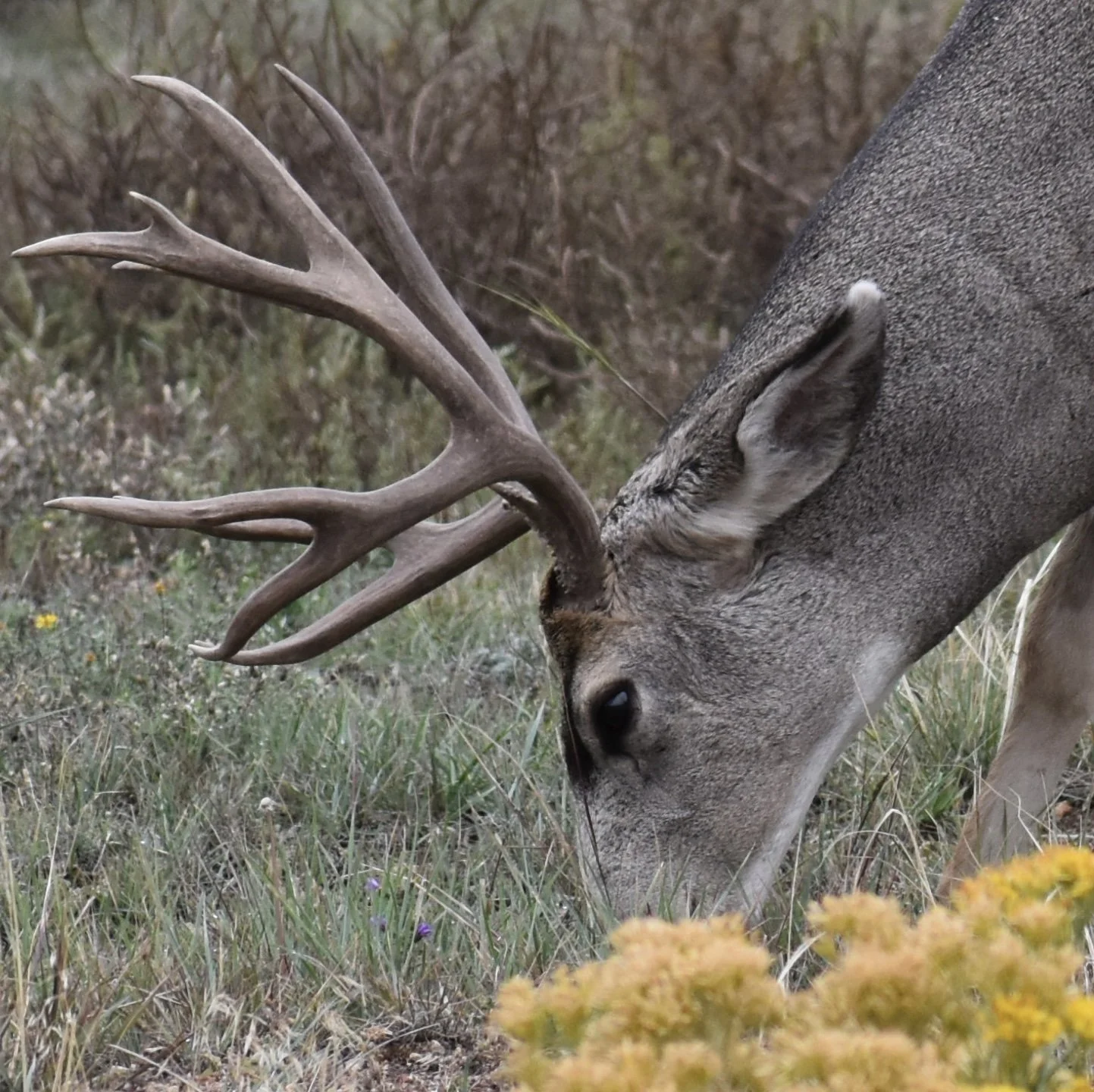 9-Beautiful boy in Denver 1