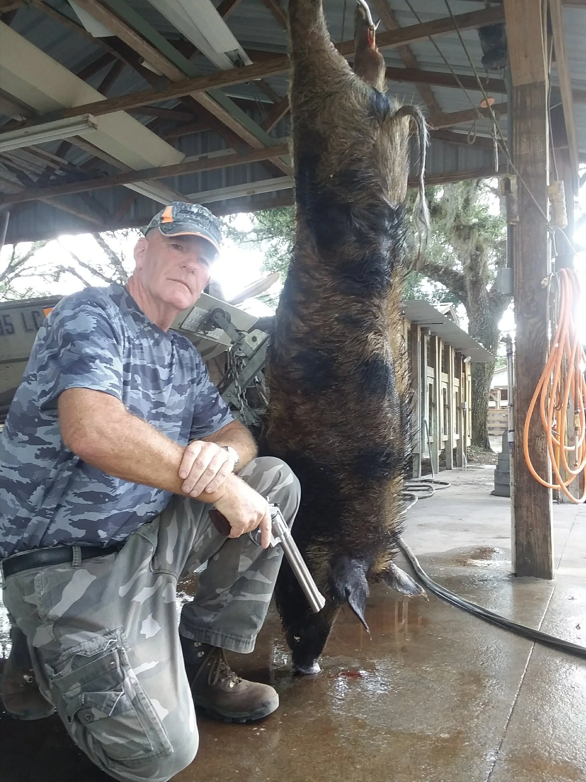 An older man with a camouflage cap kneeling next to a large, freshly hunted wild boar hanging upside down in a covered outdoor area.