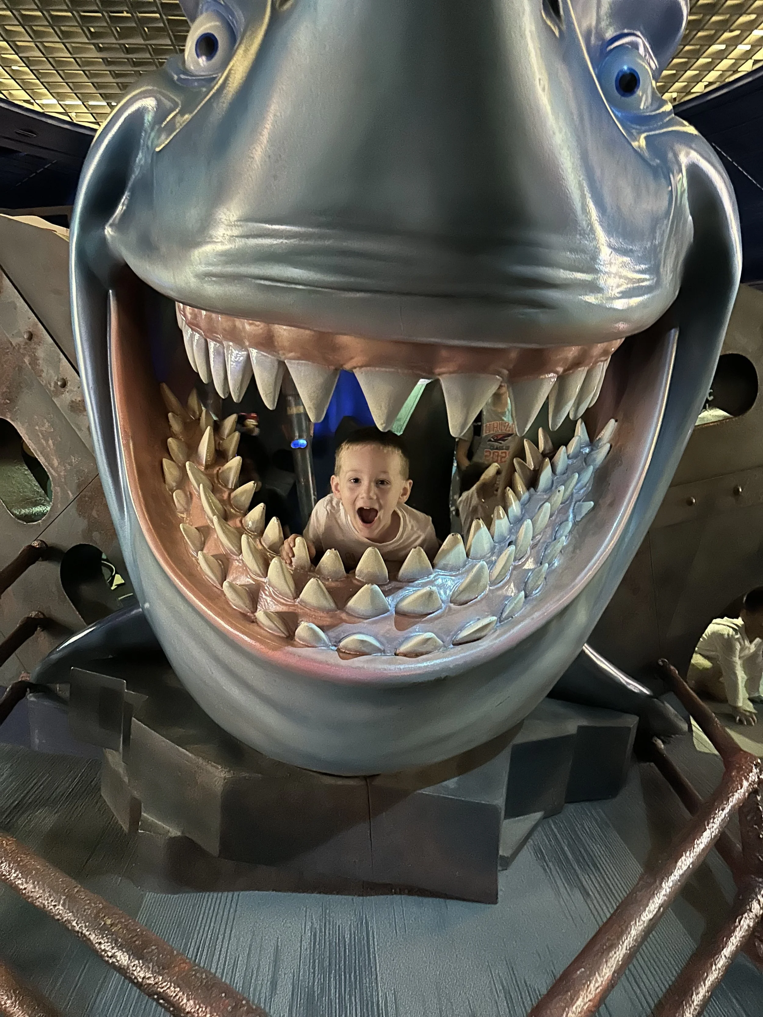 14-Grandson eaten by a shark