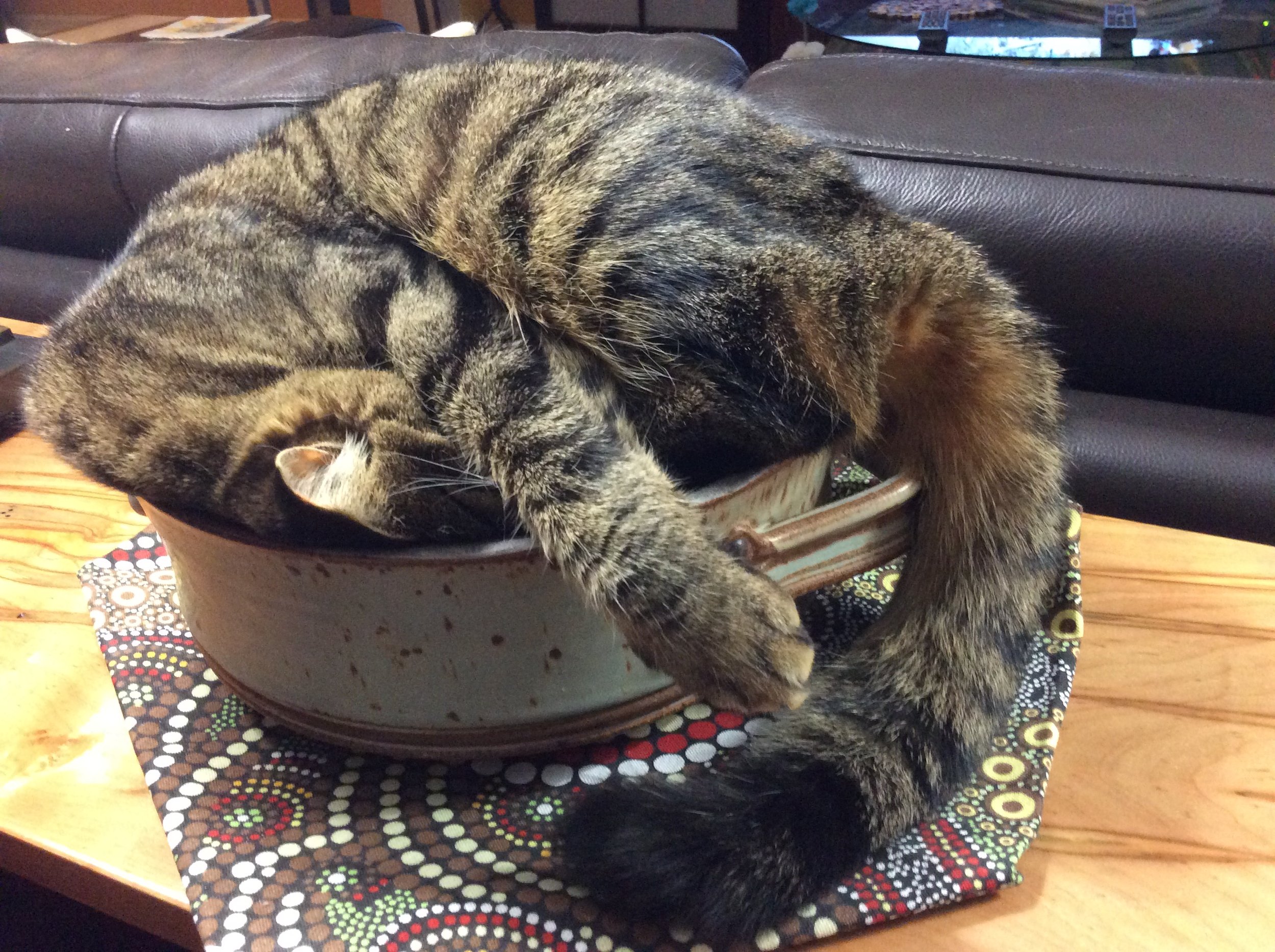 18-Boy is this comfy