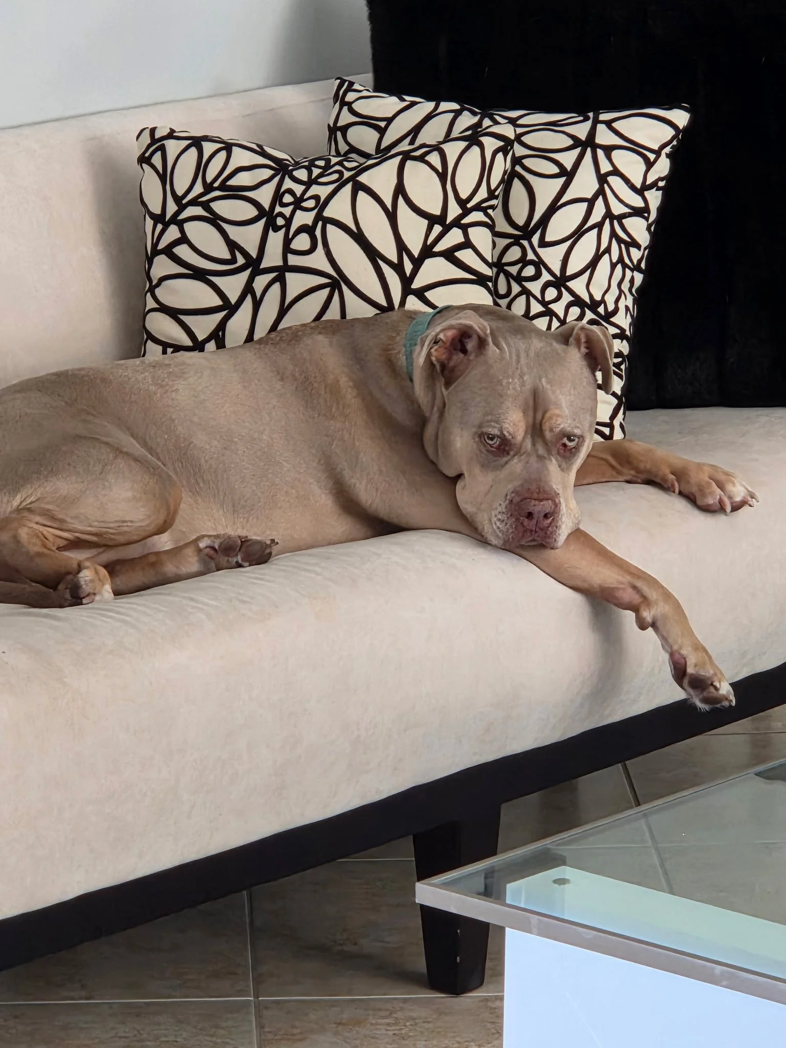 19-Do you really want me to get off the sofa