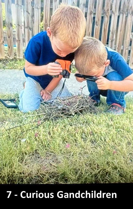 7 - Curious Gandchildren by Richard Cronk.JPG