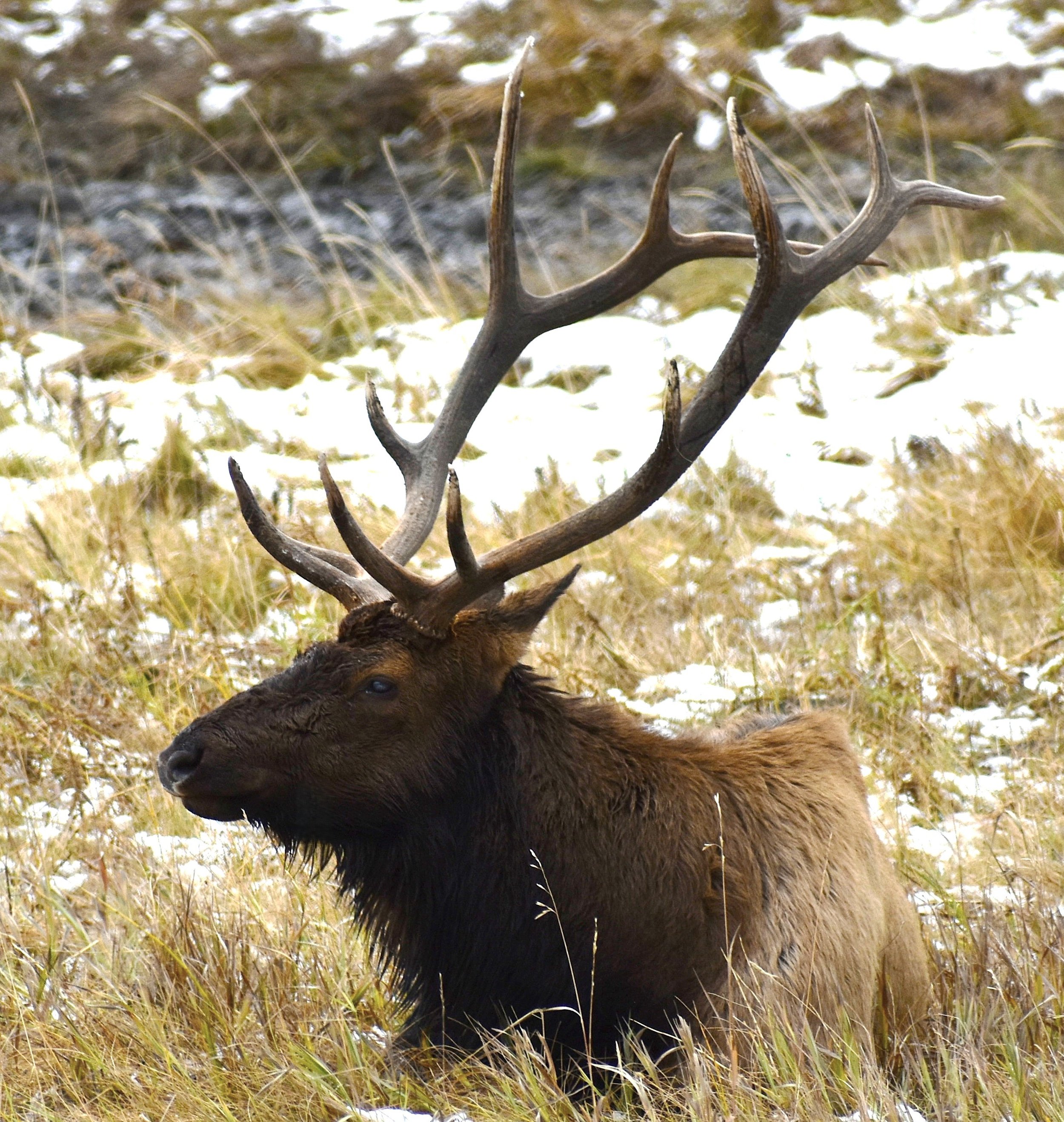 10-Beautiful boy in Denver 2