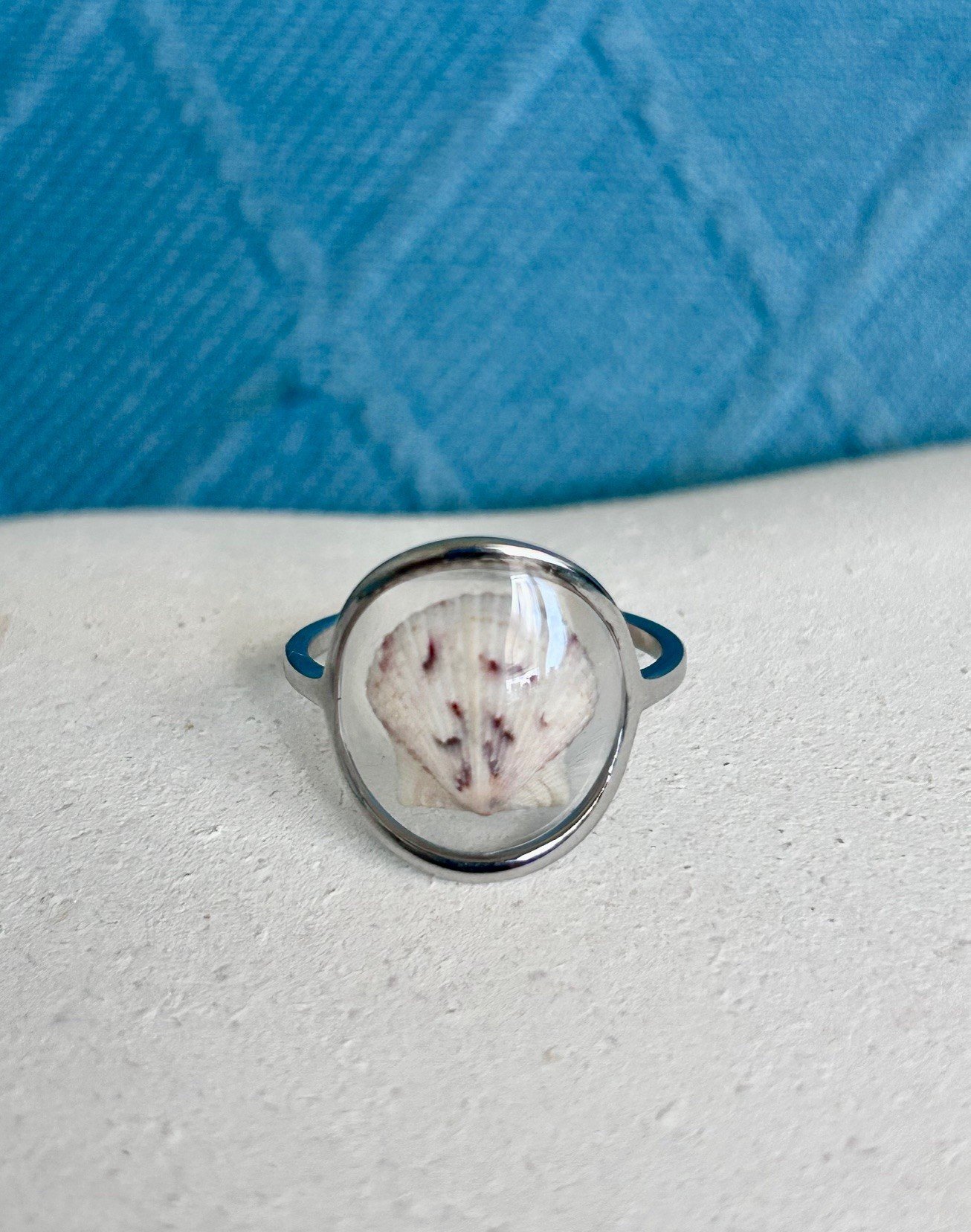 silver scallop 1.jpg