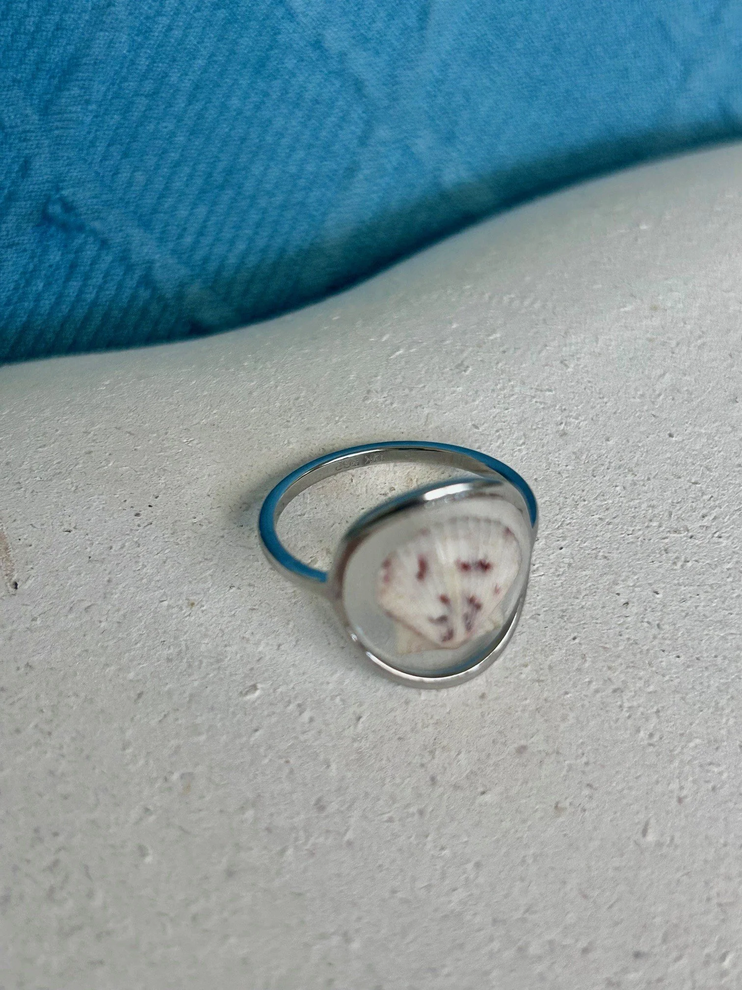 silver scallop 4.jpg