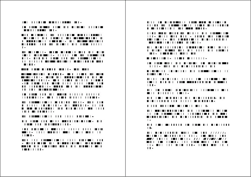 Voynich, 2017, Heft A5