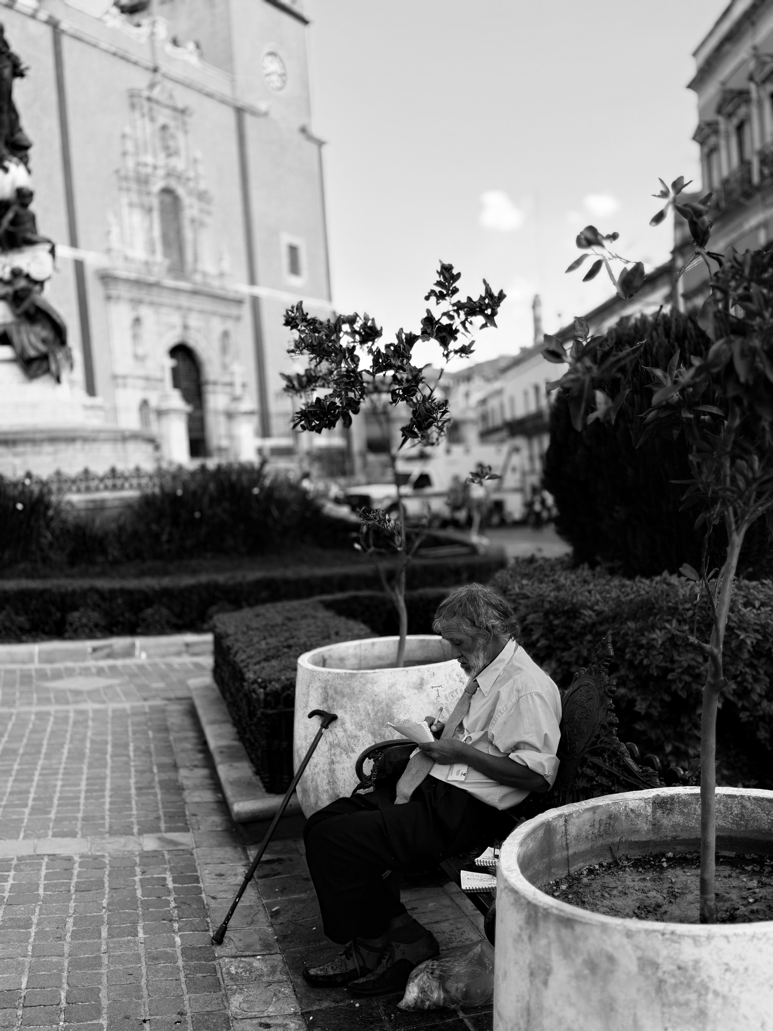IMG_0867.jpeg
