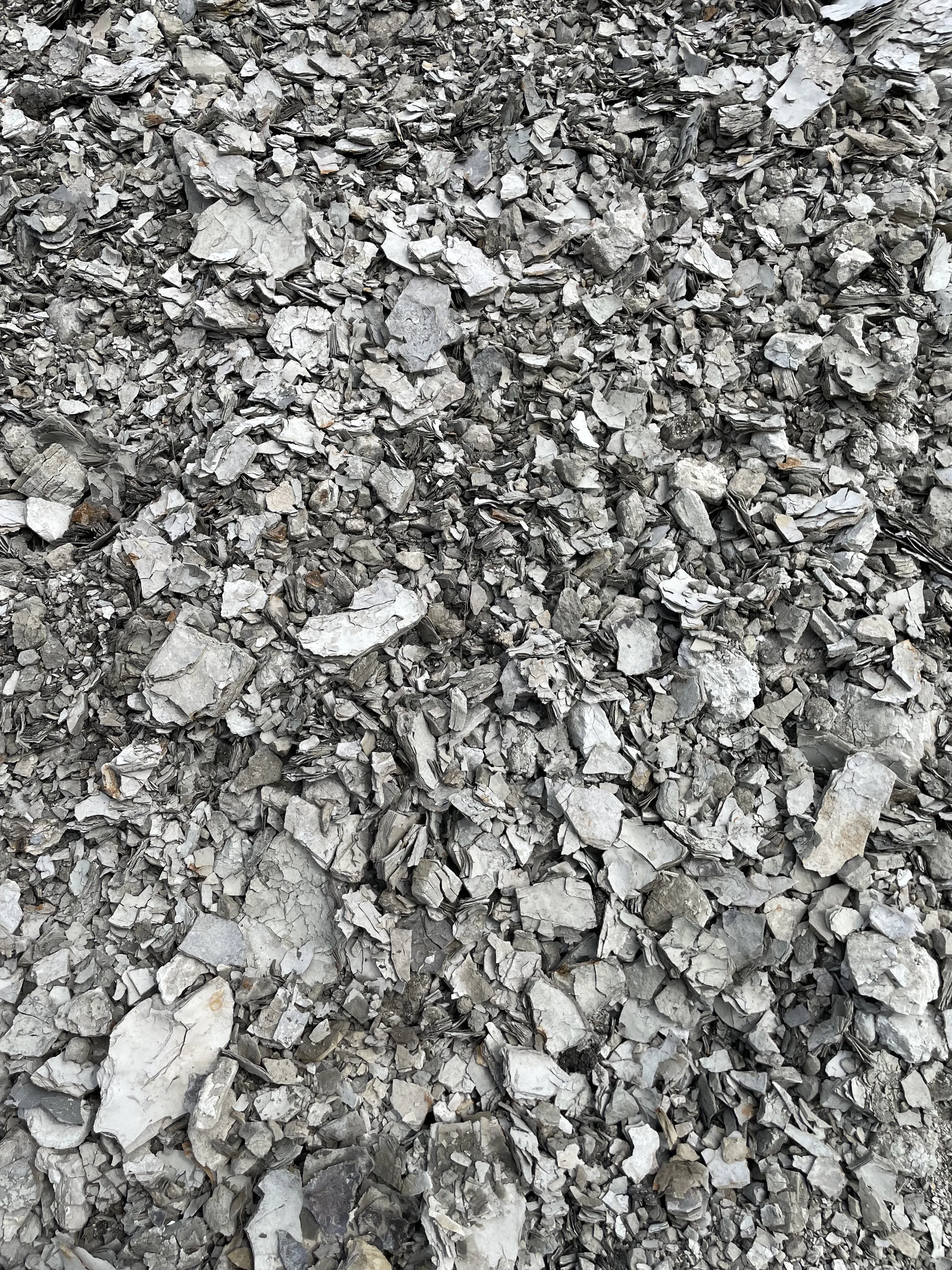 A close-up of a pile of gray and white gravel stones of various sizes.