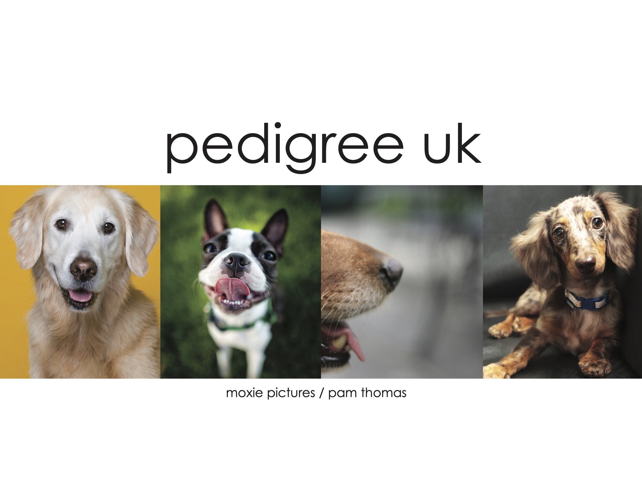 pedigreeUK_v4_highres.jpg