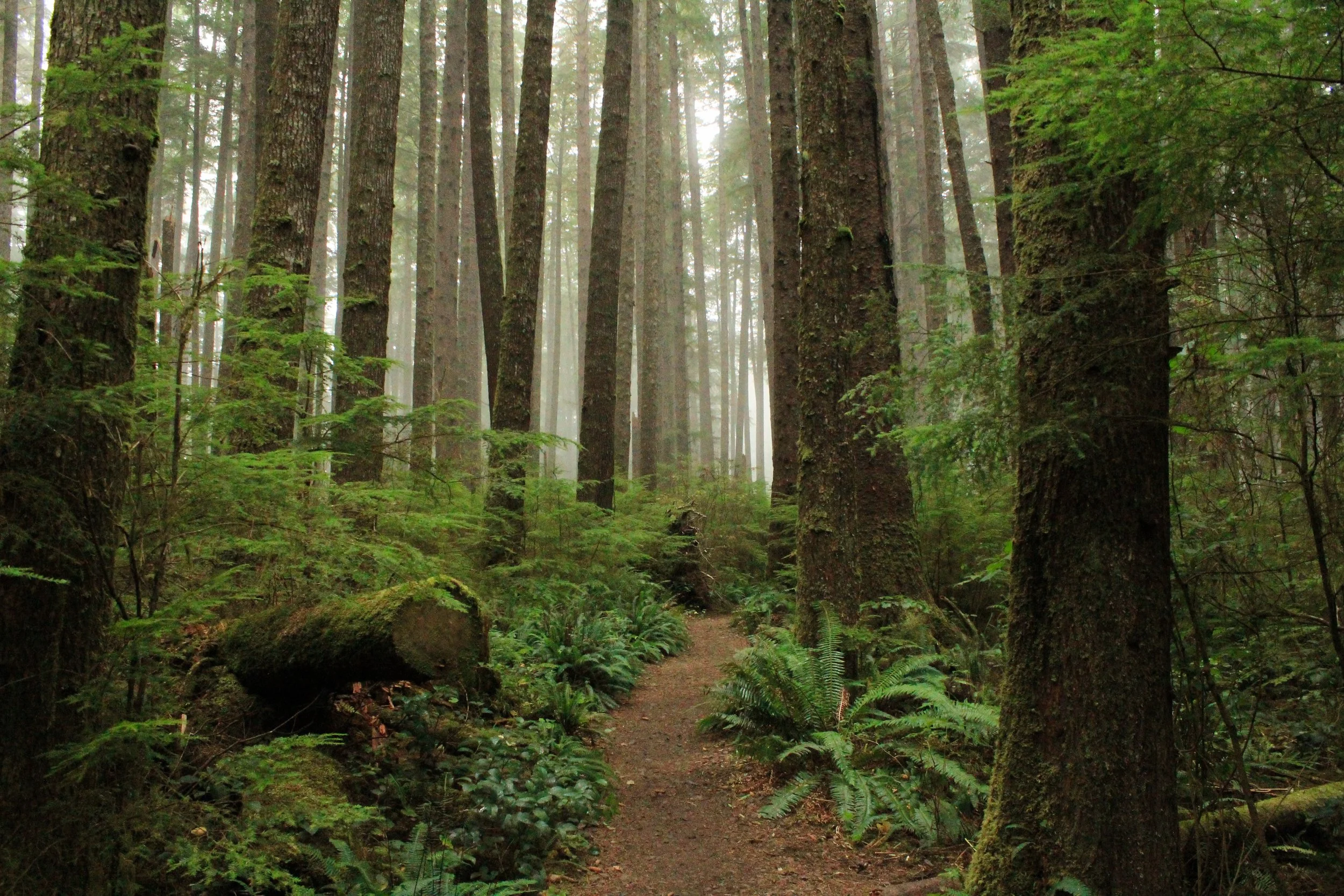 What Happens After Your Divorce Is Final? A Washington State Checklist