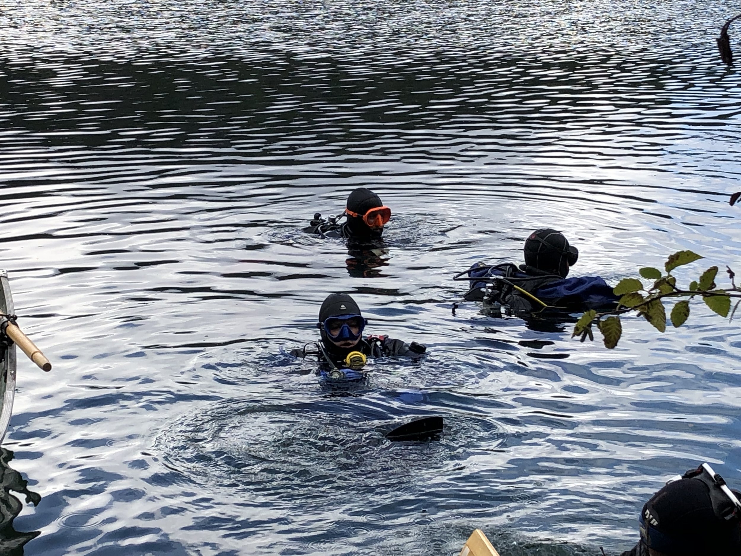 diving Jasper, Alberta
