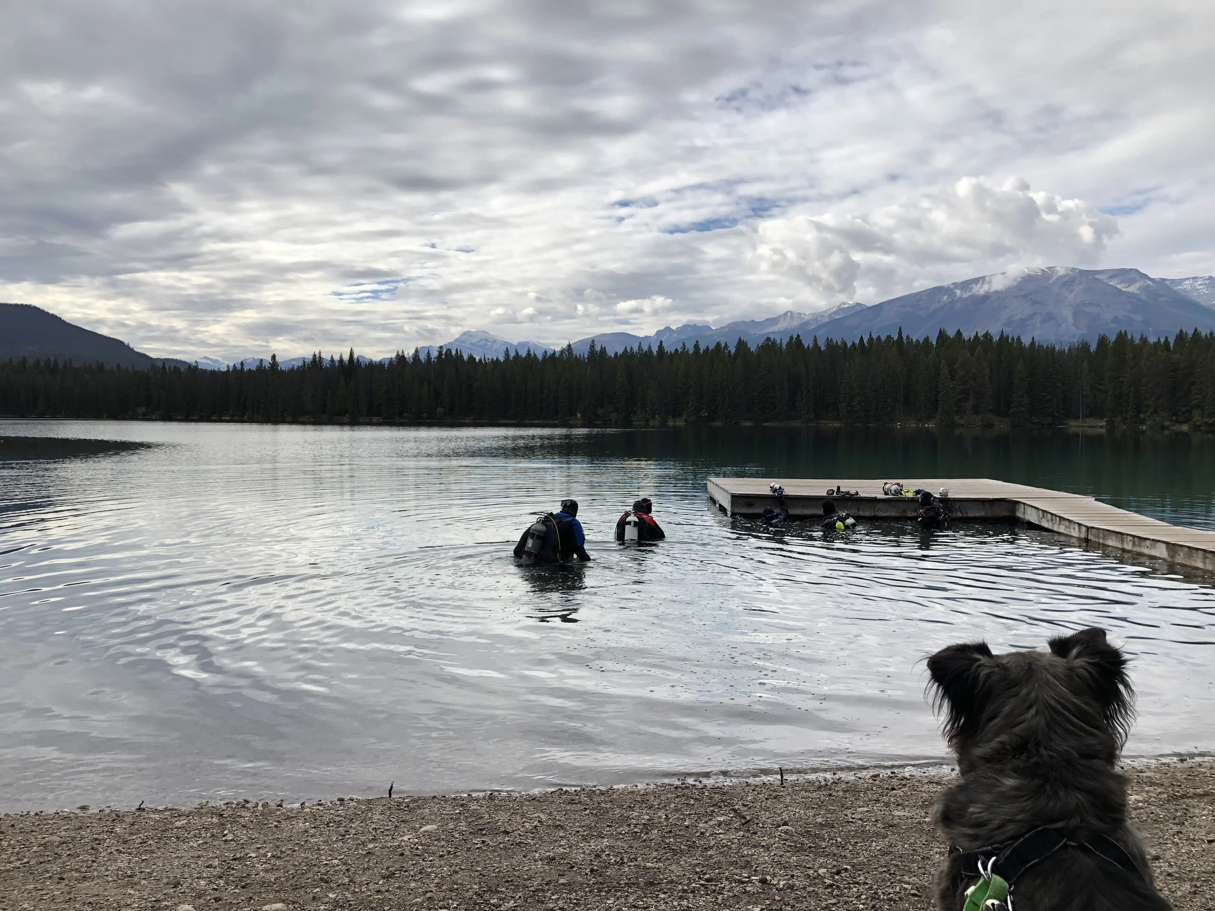 divers in open water