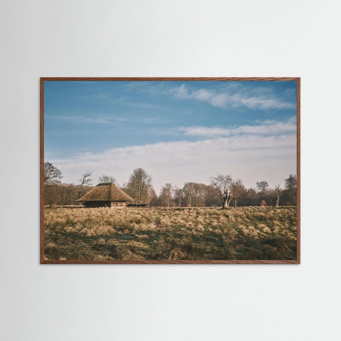 Winter Meadow, Dyrehave