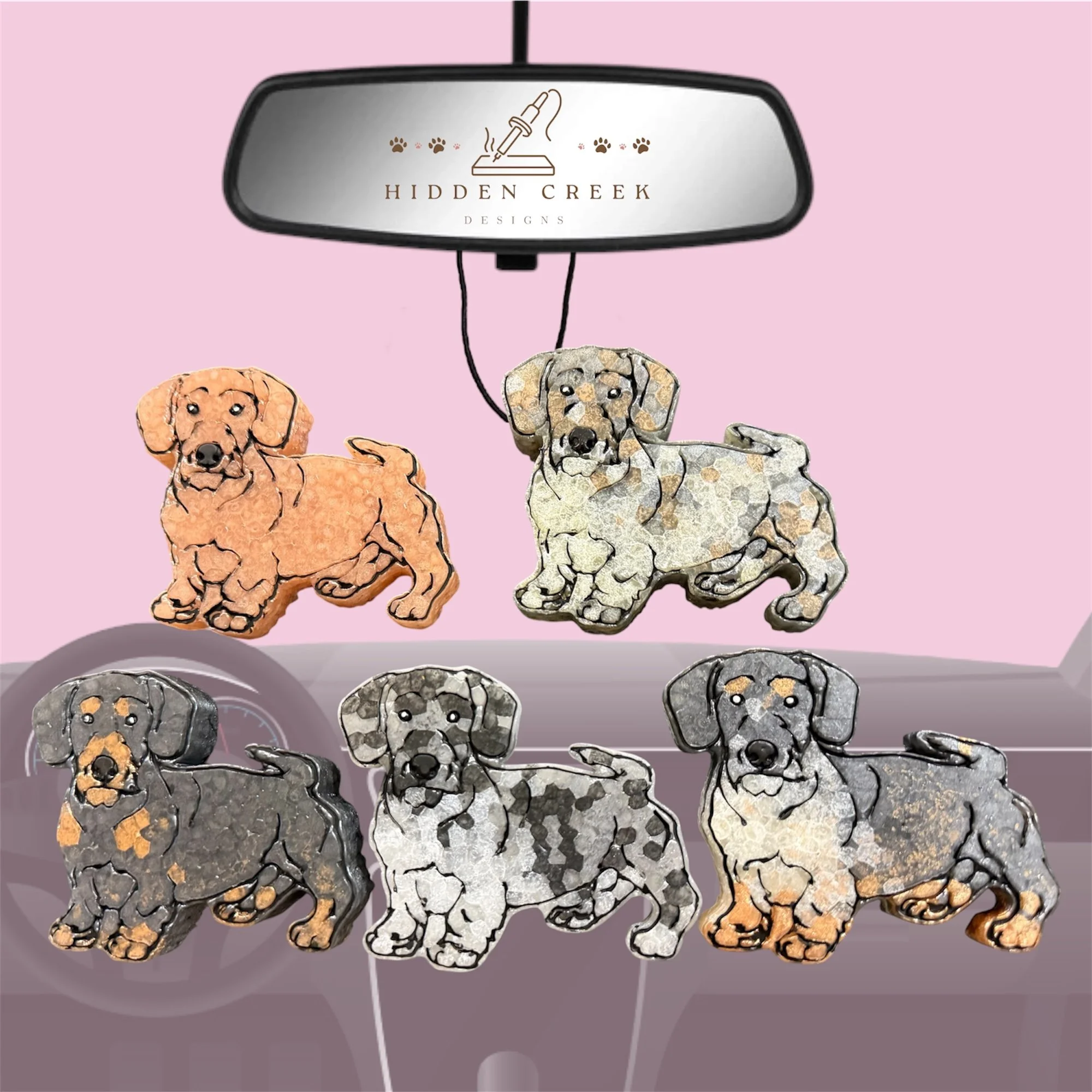 Dachshund - wirehair