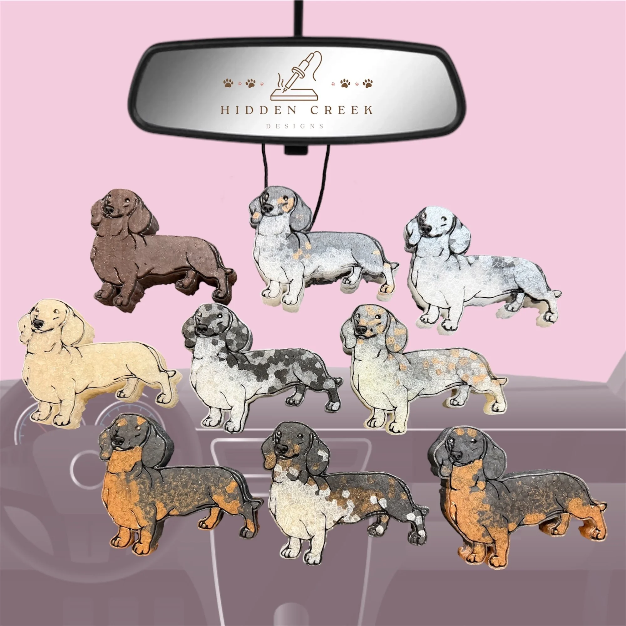 Dachshund - shorthair