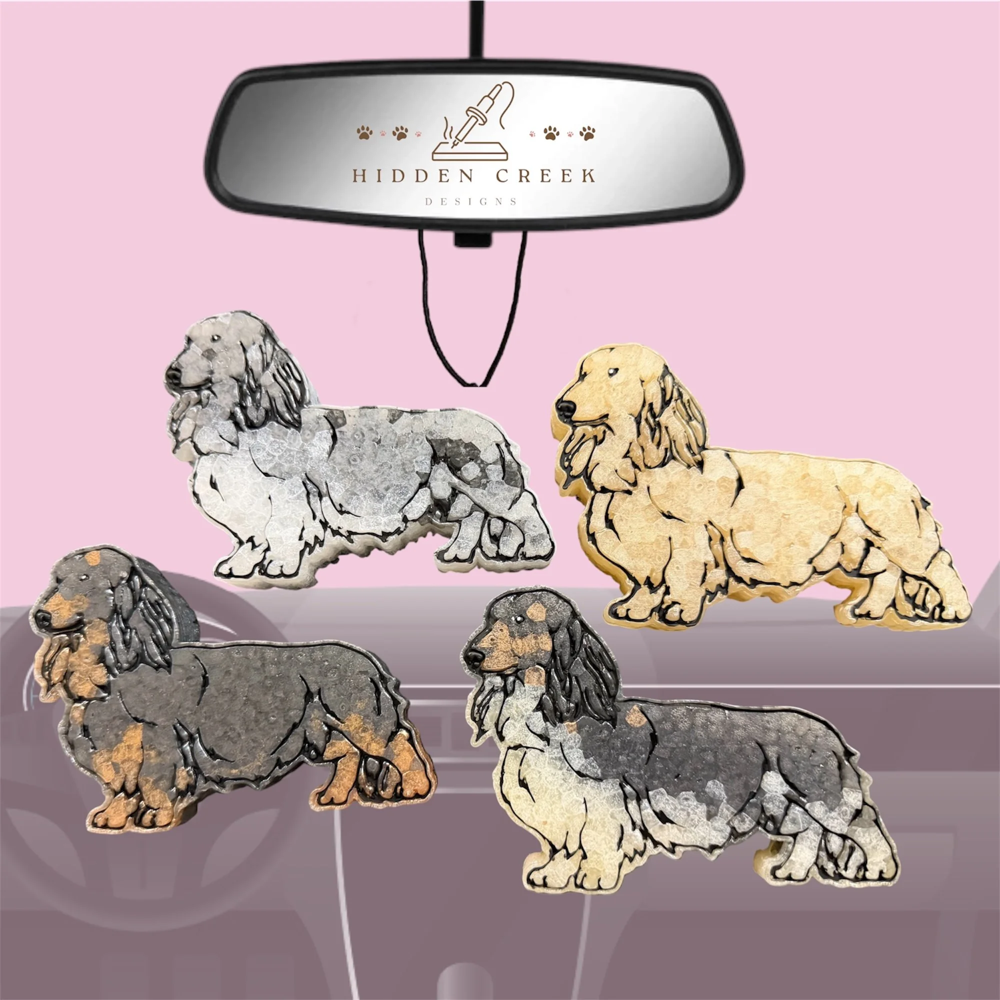 Dachshund - longhair